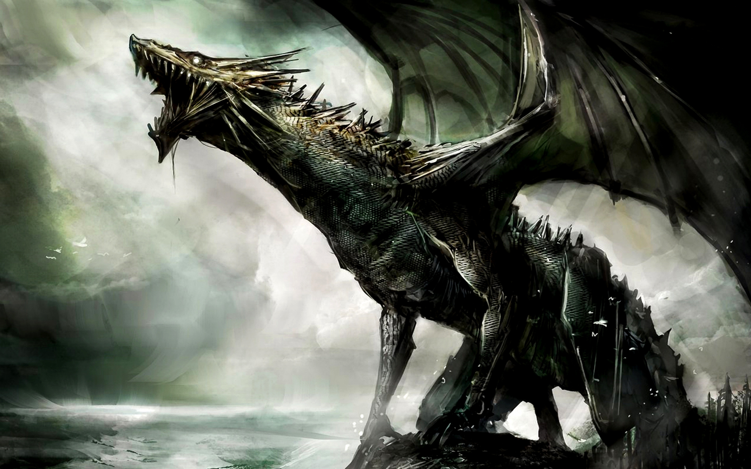 37649 Bild herunterladen dragons, fantasie, grau - Hintergrundbilder und Bildschirmschoner kostenlos