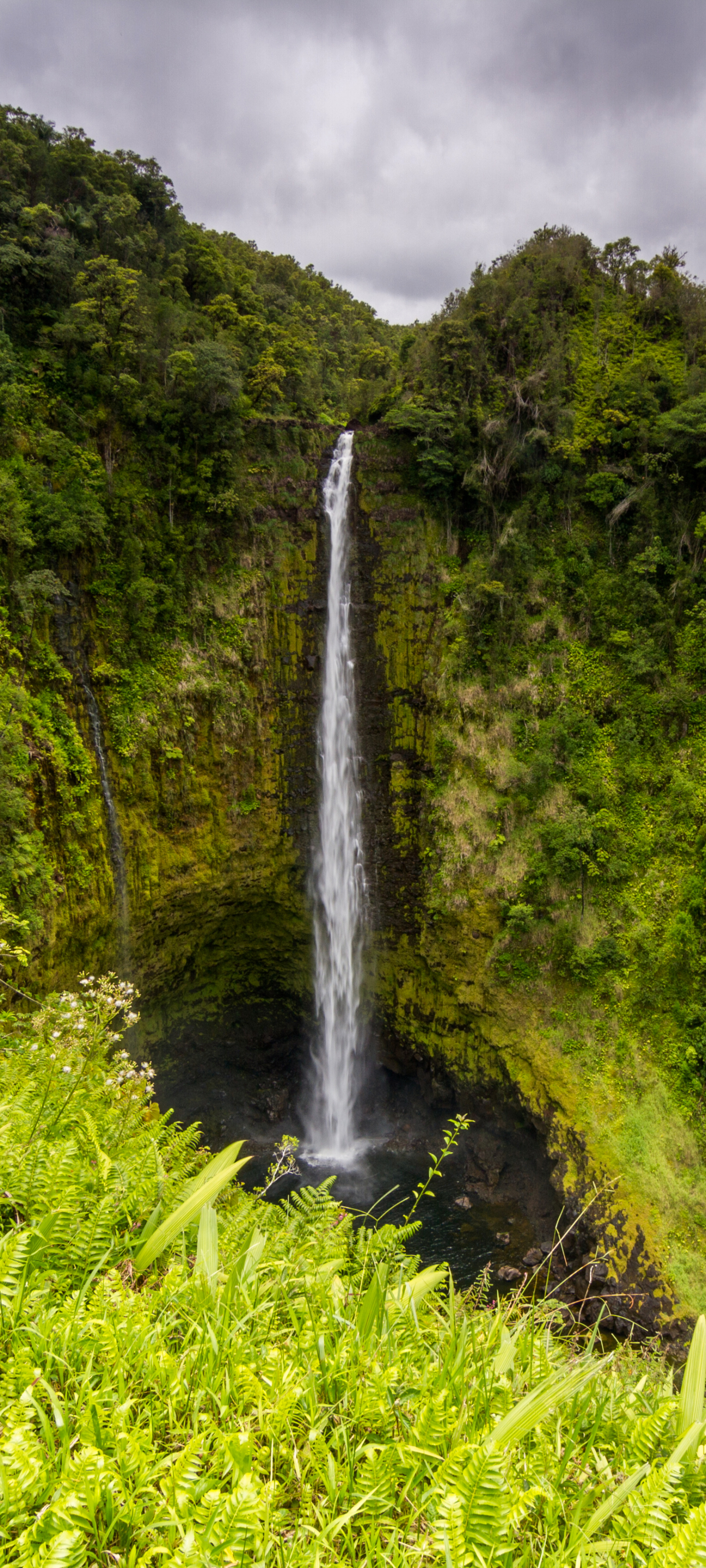 Descarga gratuita de fondo de pantalla para móvil de Naturaleza, Cascadas, Cascada, Acantilado, Tierra/naturaleza.