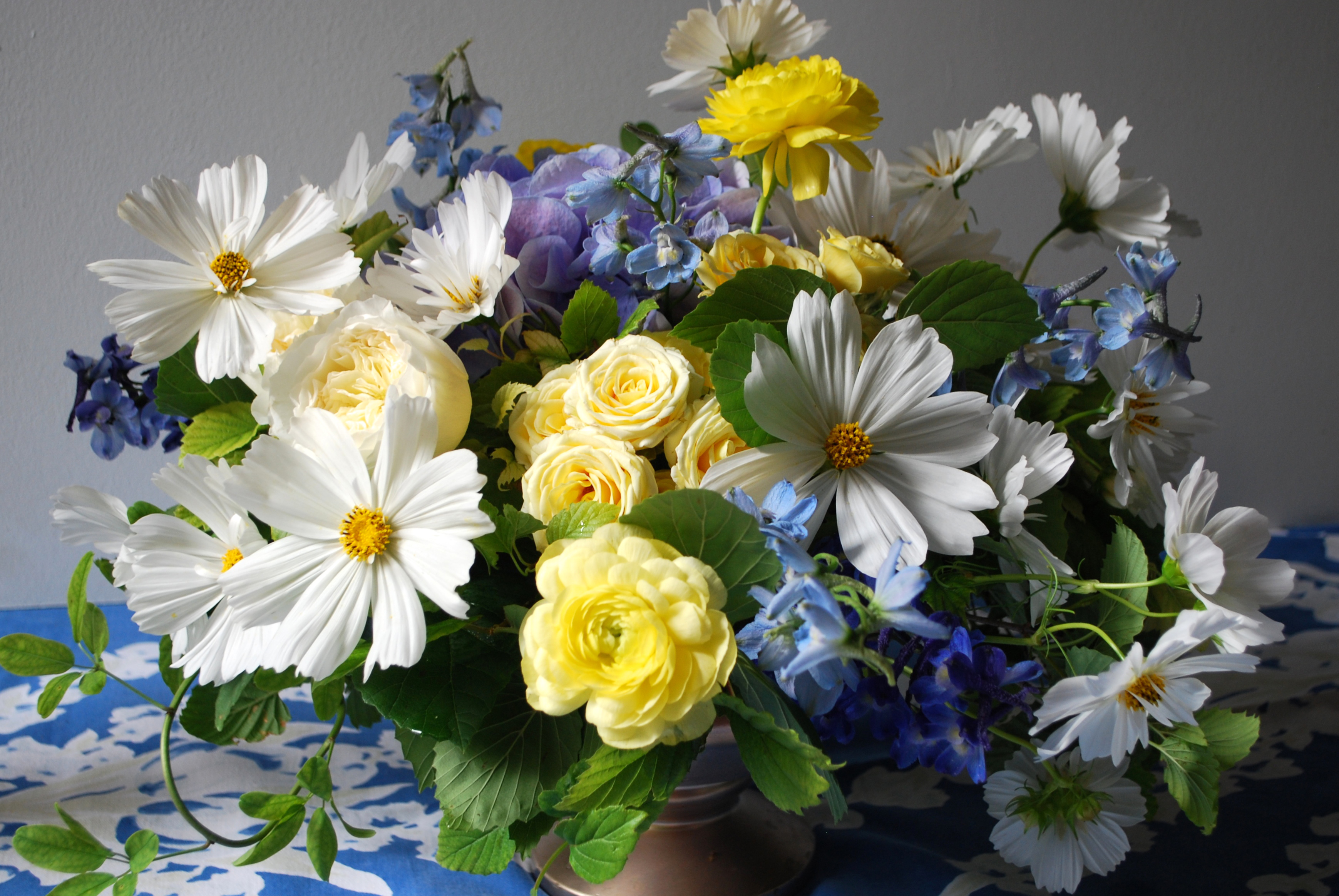 Laden Sie das Blume, Strauß, Erde, Bunt, Gelbe Blume, Weiße Blume, Menschengemacht, Blaue Blume, Kosmeen-Bild kostenlos auf Ihren PC-Desktop herunter