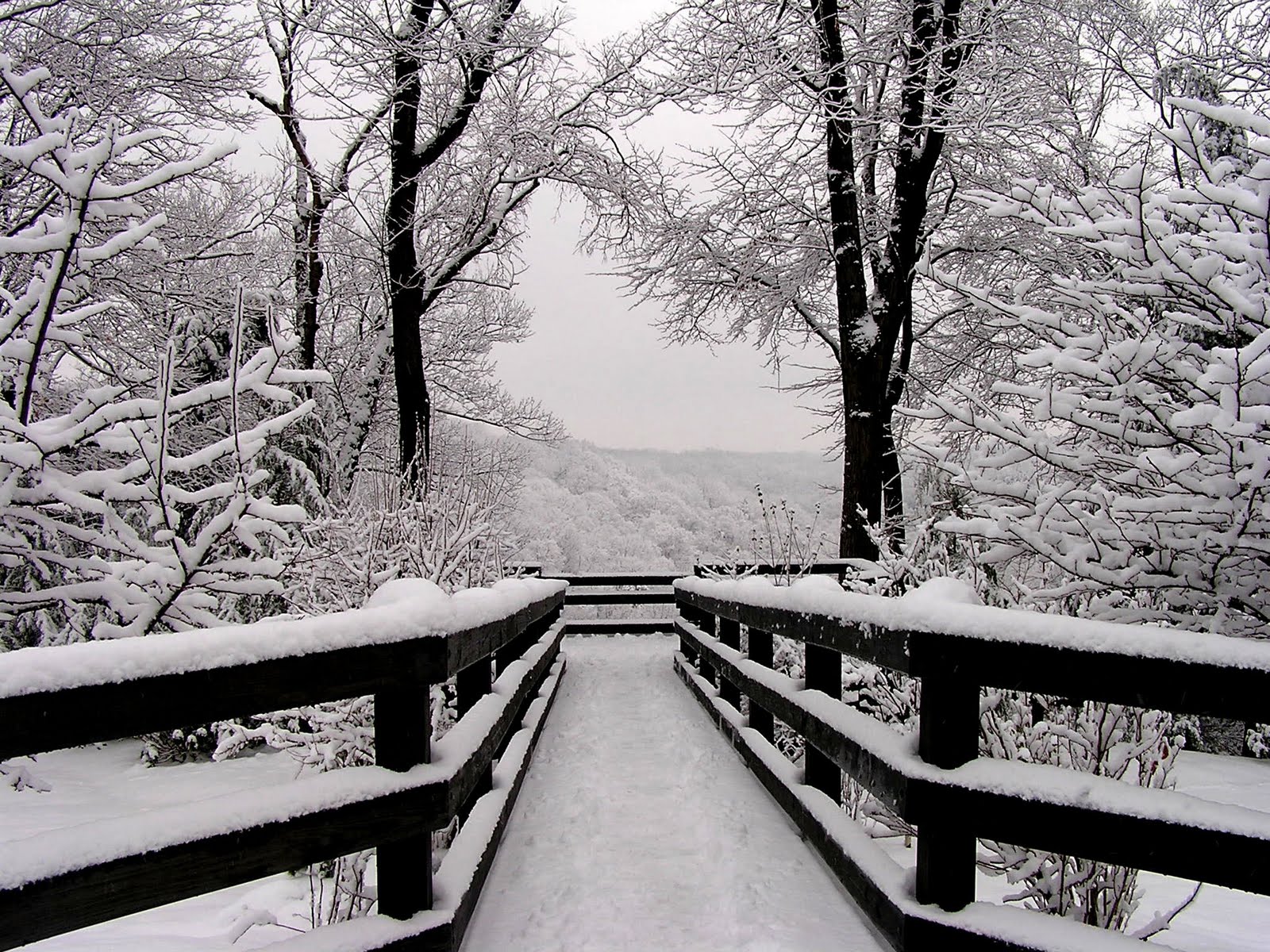 Free download wallpaper Winter, Photography on your PC desktop