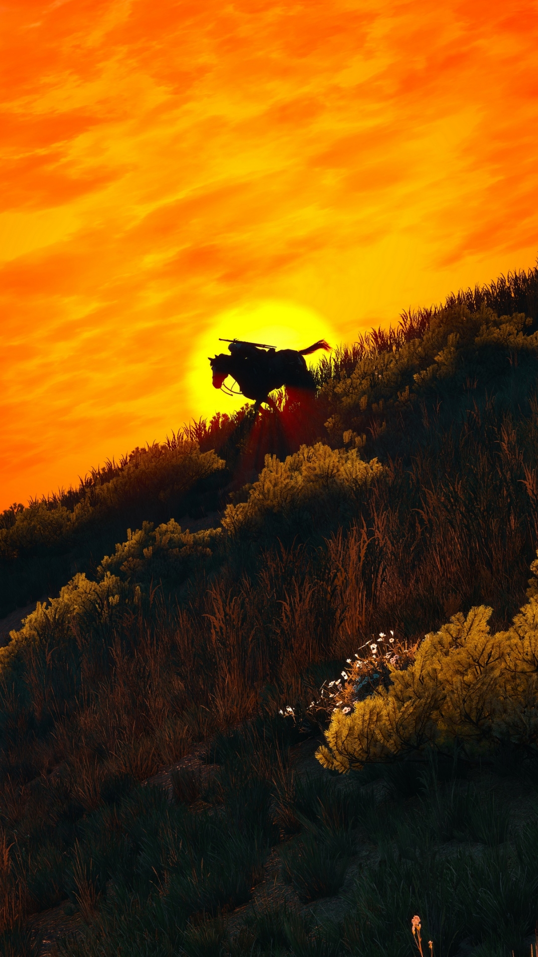 Handy-Wallpaper Silhouette, Sonnenuntergang, Computerspiele, Der Hexer, Geralt Von Riva, The Witcher 3: Wild Hunt kostenlos herunterladen.