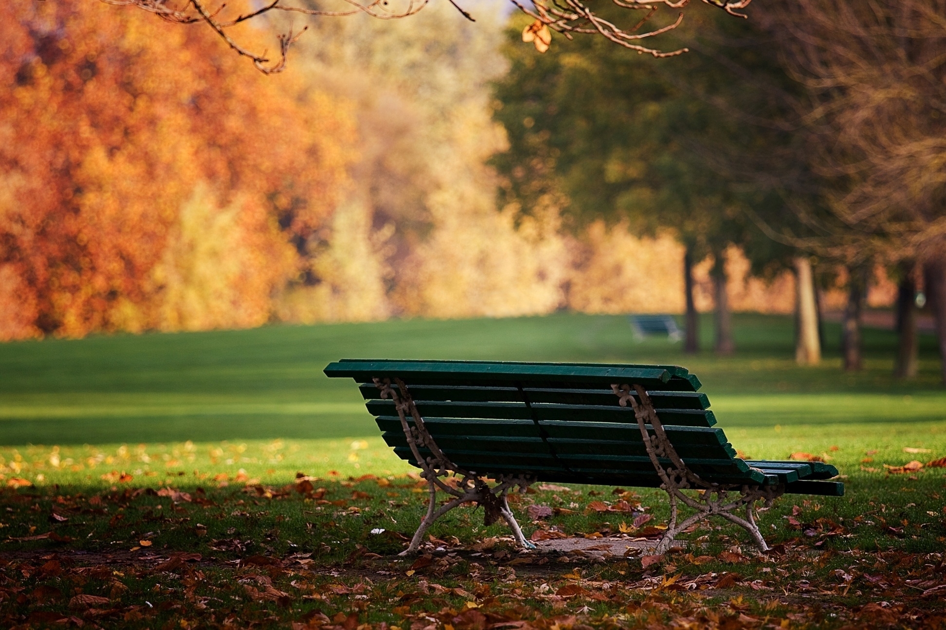 109231 скачать картинку листья, природа, октябрь, осень, парк, земля, скамейка, одинокая - обои и заставки бесплатно