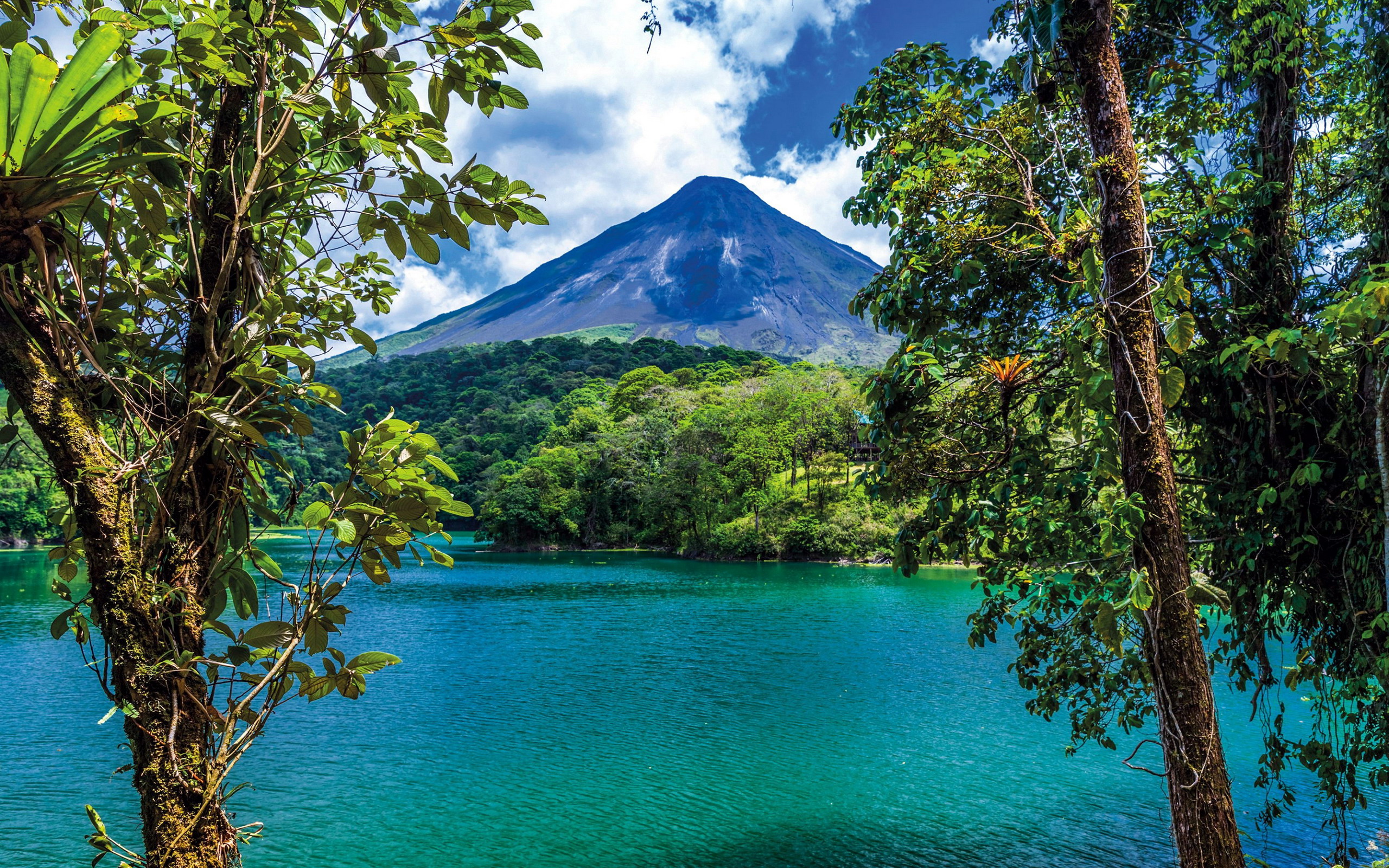 Descarga gratuita de fondo de pantalla para móvil de Naturaleza, Rio, Tierra/naturaleza.