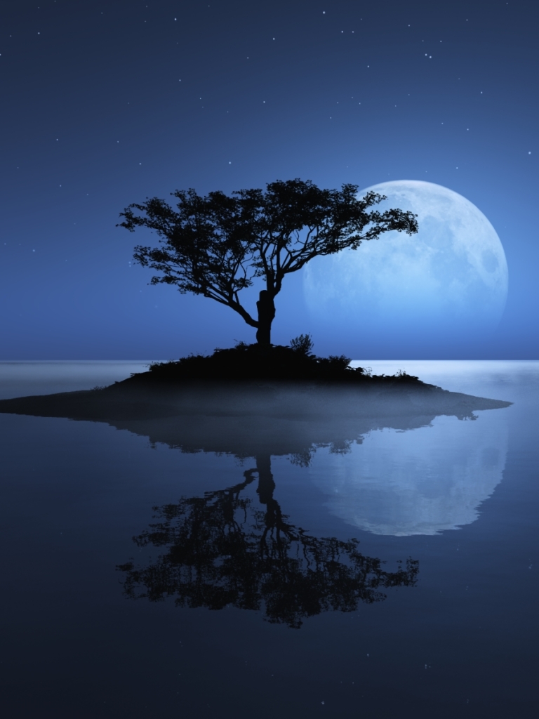 Download mobile wallpaper Water, Trees, Stars, Night, Moon, Tree, Earth, Island for free.