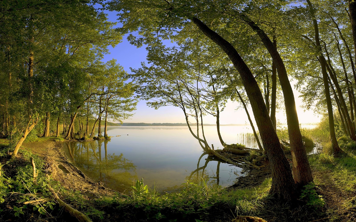 Laden Sie das Bäume, Landschaft, Flüsse-Bild kostenlos auf Ihren PC-Desktop herunter