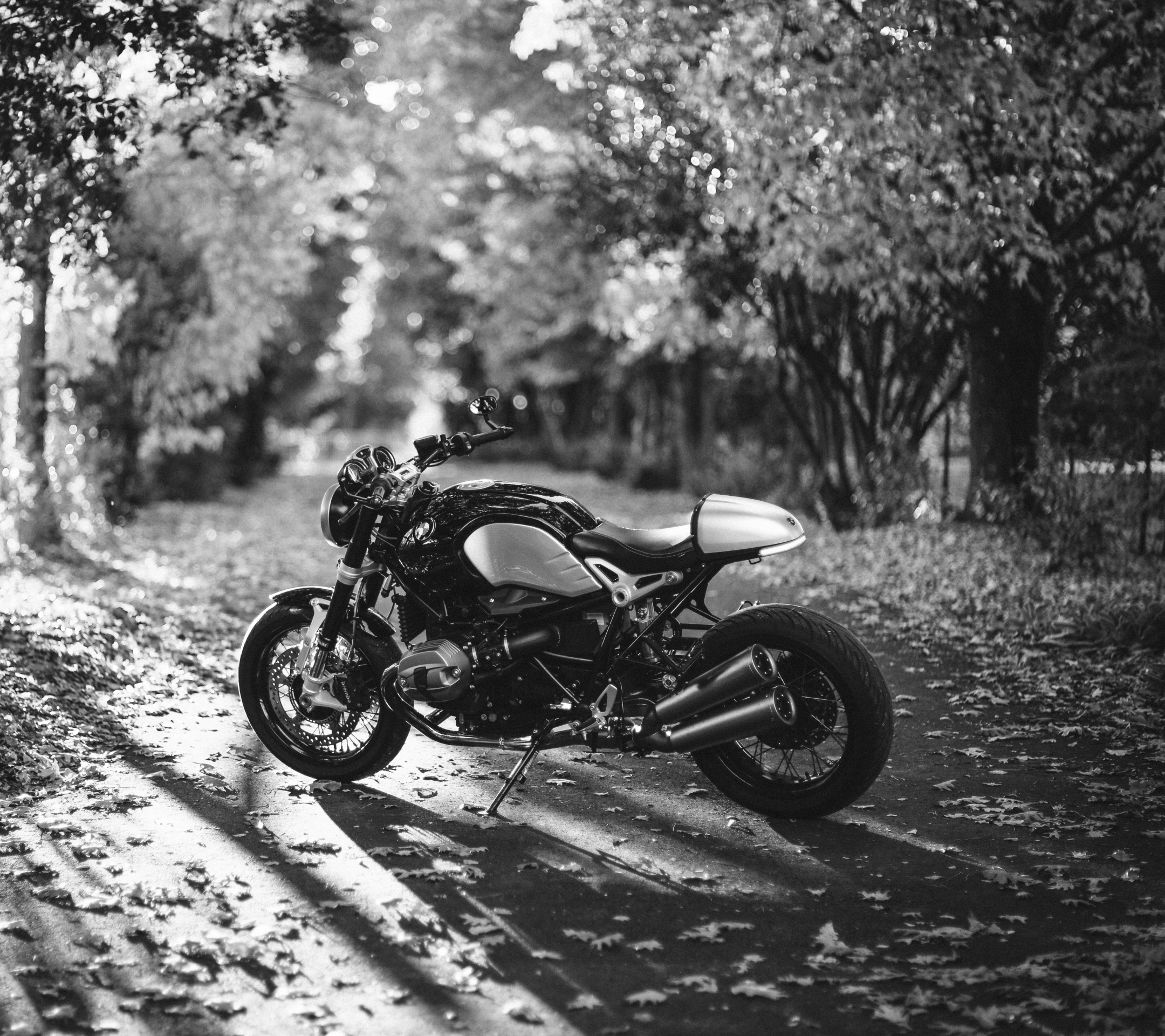 Free download wallpaper Motorcycles, Leaf, Fall, Motorcycle, Sunny, Vehicle, Vehicles, Black & White on your PC desktop
