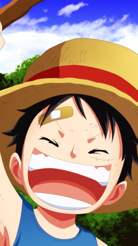 Download mobile wallpaper Anime, Portgas D Ace, One Piece, Monkey D Luffy for free.