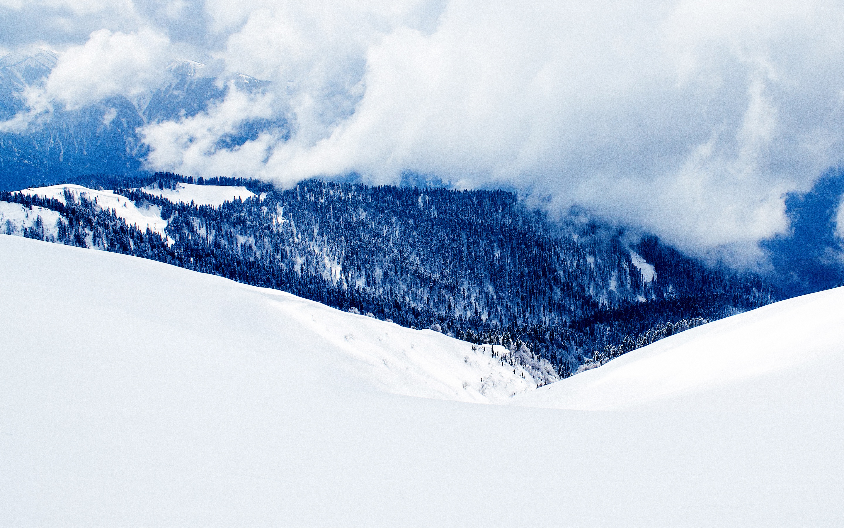 Скачать обои бесплатно Зима, Природа, Облака, Снег, Лес, Ландшафт, Земля/природа картинка на рабочий стол ПК