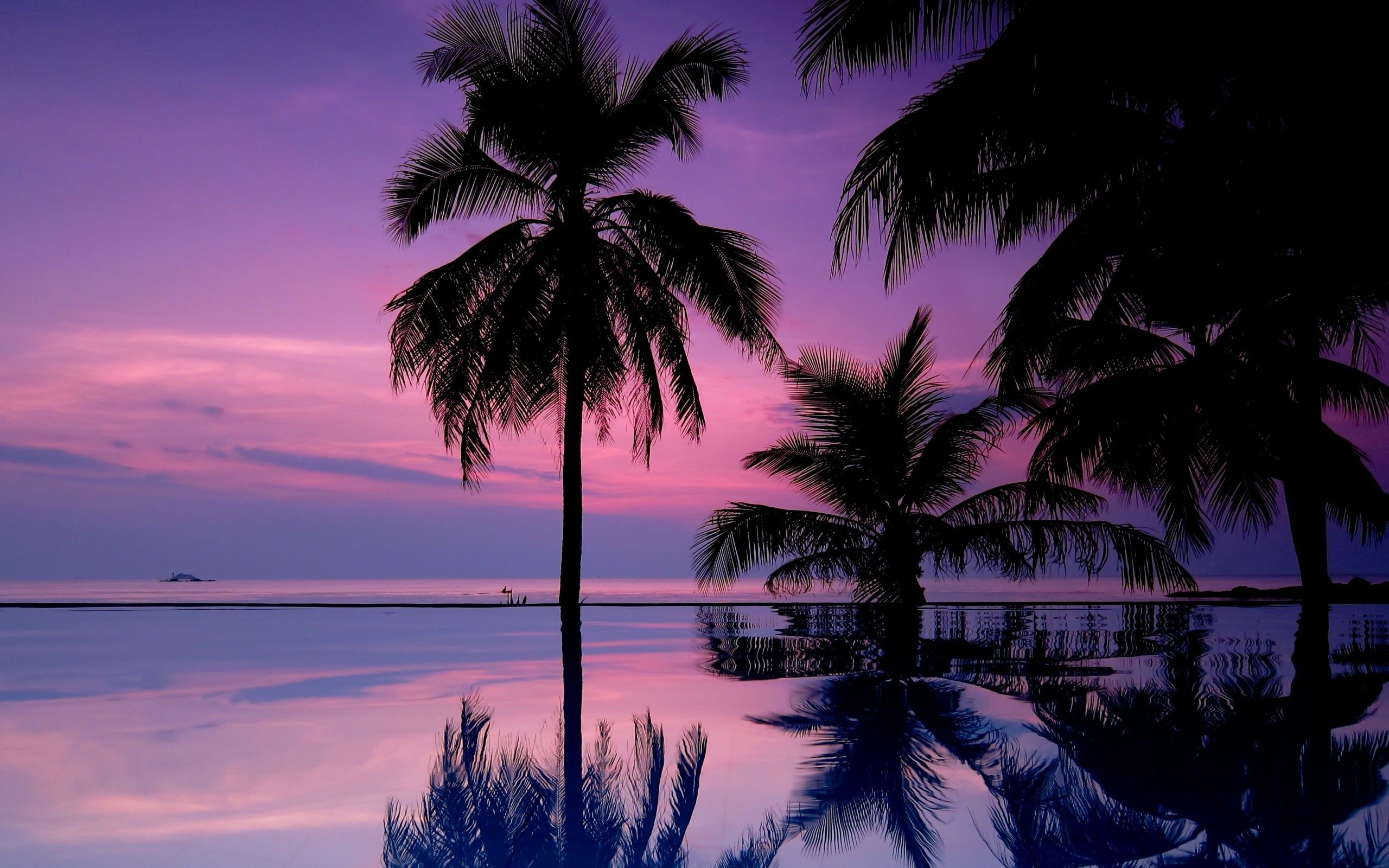 nature, night, palms, silhouettes