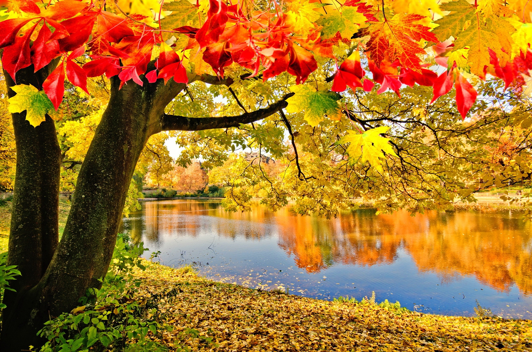 Baixe gratuitamente a imagem Outono, Lagos, Lago, Árvore, Terra/natureza, Reflecção na área de trabalho do seu PC