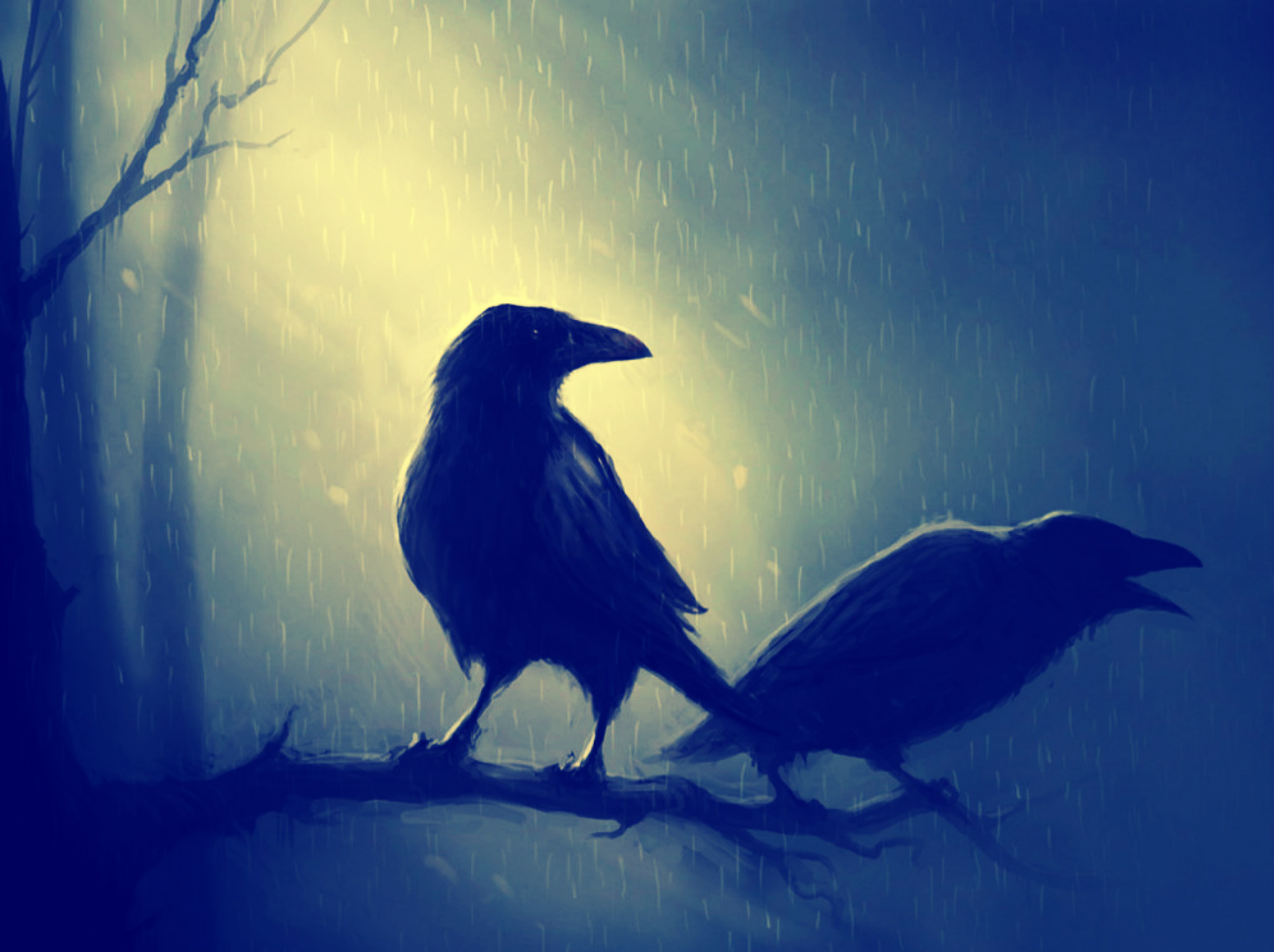 Download mobile wallpaper Bird, Birds, Animal, Raven, Dark for free.
