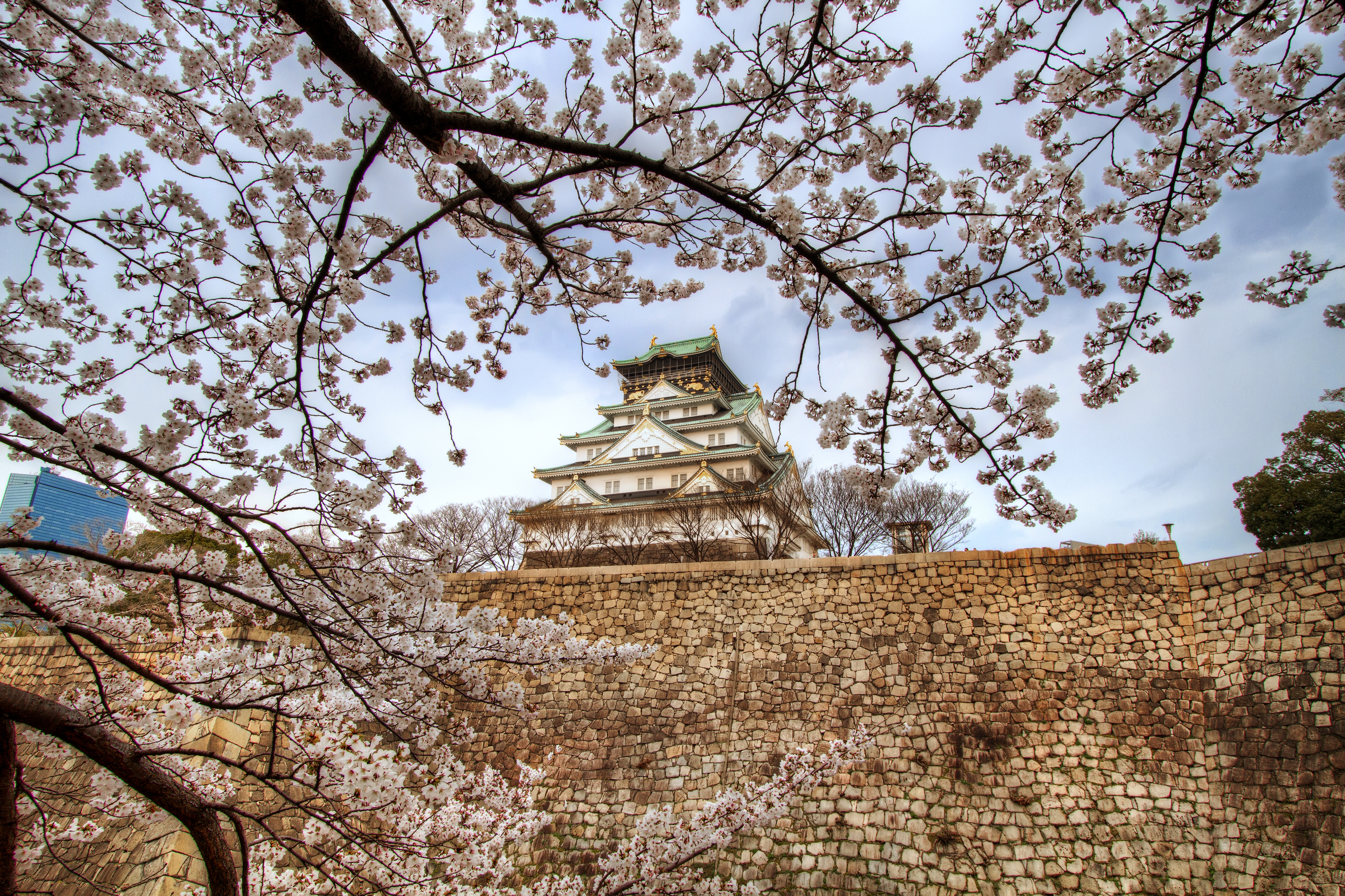 1523186 descargar fondo de pantalla hecho por el hombre, castillo de osaka, flor de cerezo, japón, osaka, sakura, primavera, castillos: protectores de pantalla e imágenes gratis