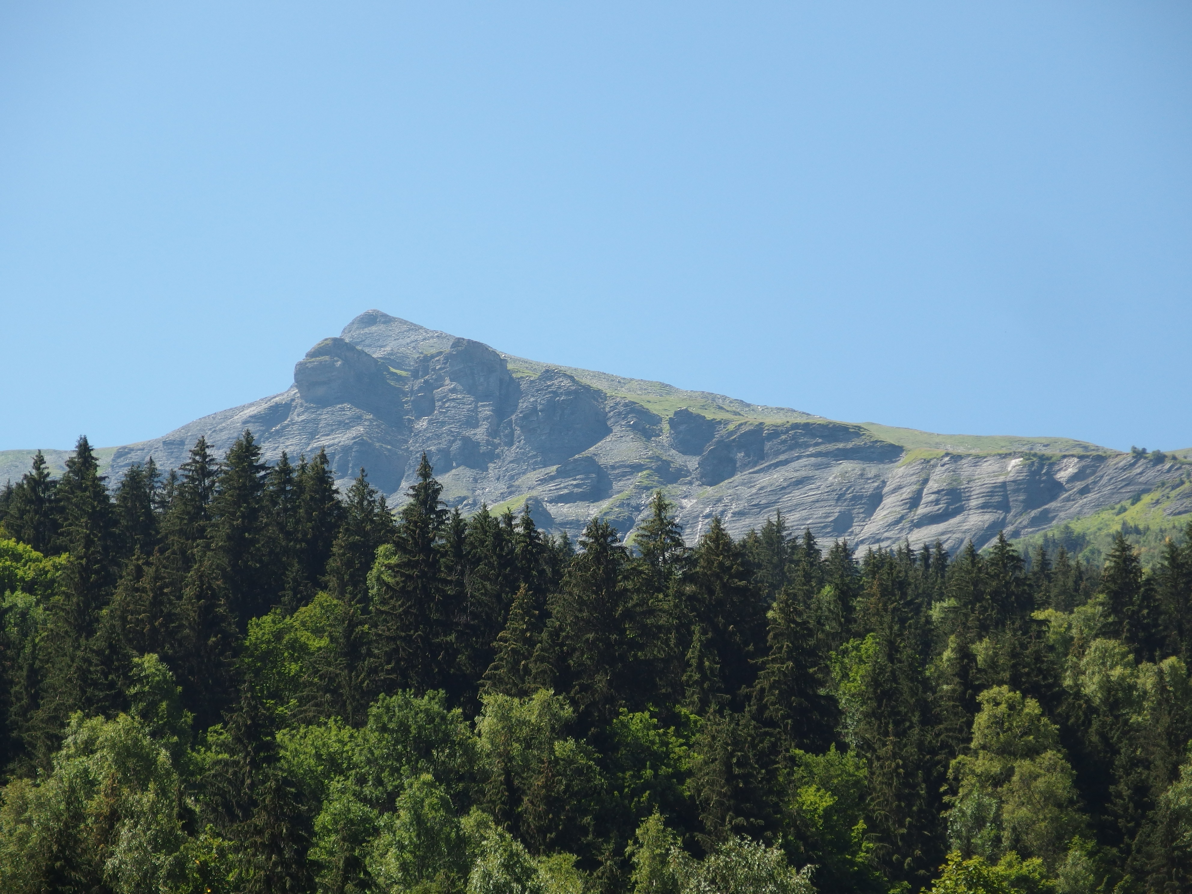 Descarga gratuita de fondo de pantalla para móvil de Bosque, Montaña, Vértice, Arriba, Naturaleza, Árboles.