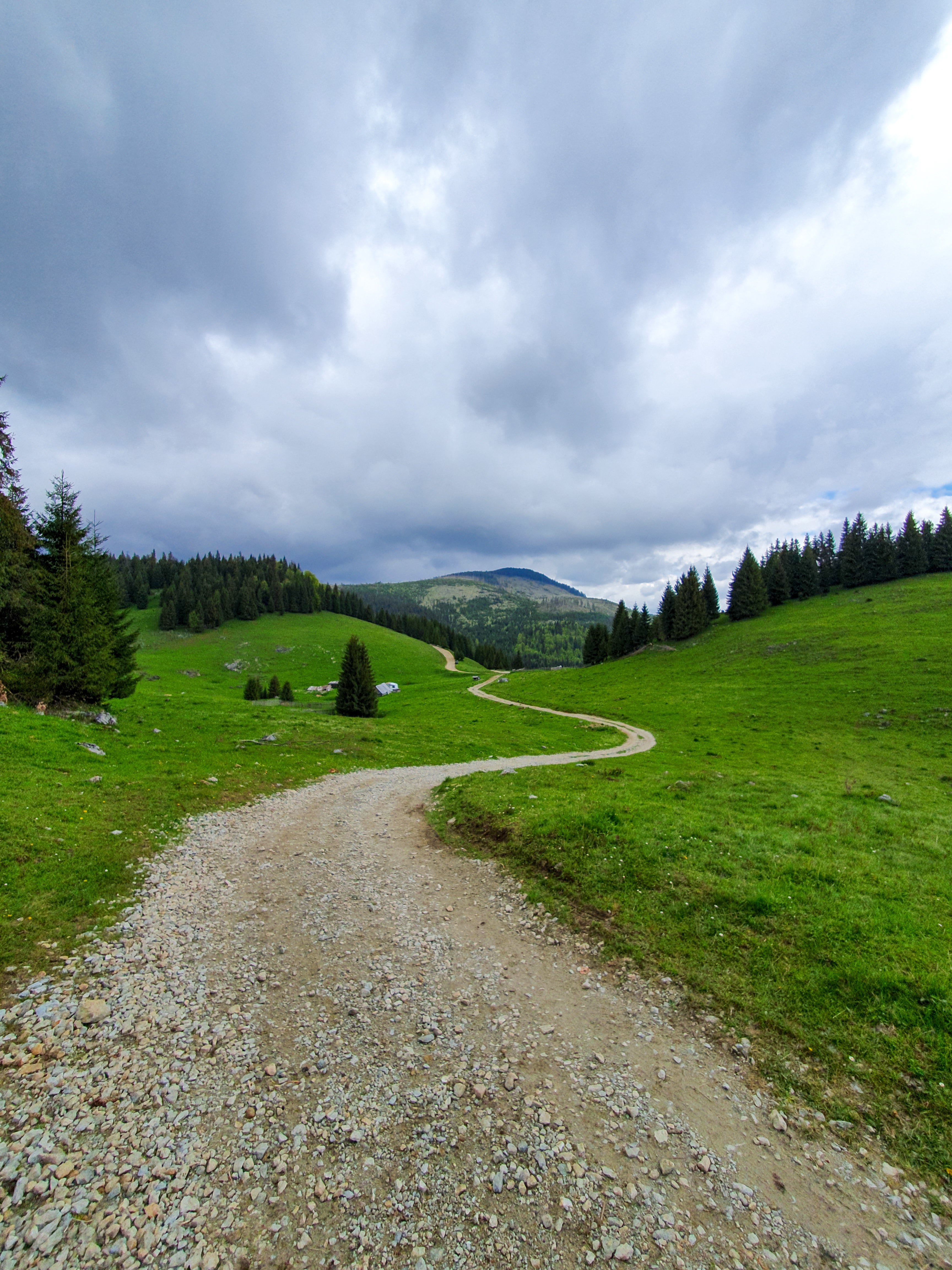 Free download wallpaper Nature, Trees, Grass, Mountain, Path, Dahl, Distance on your PC desktop