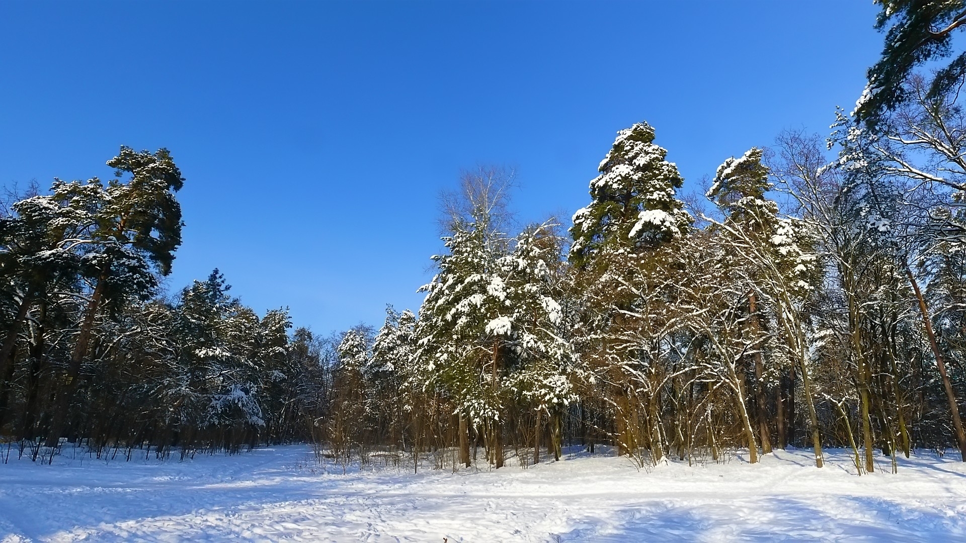 Download mobile wallpaper Winter, Landscape, Nature for free.