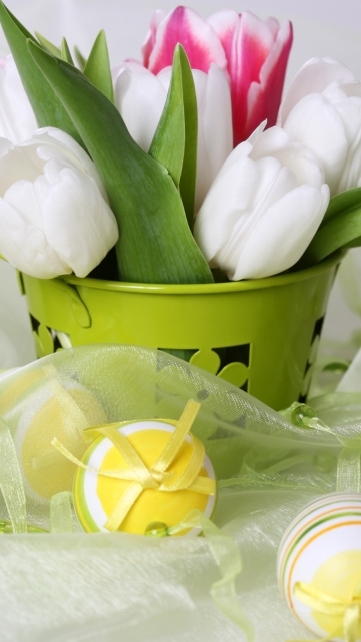 Download mobile wallpaper Easter, Holiday, Colorful, Tulip, White Flower for free.