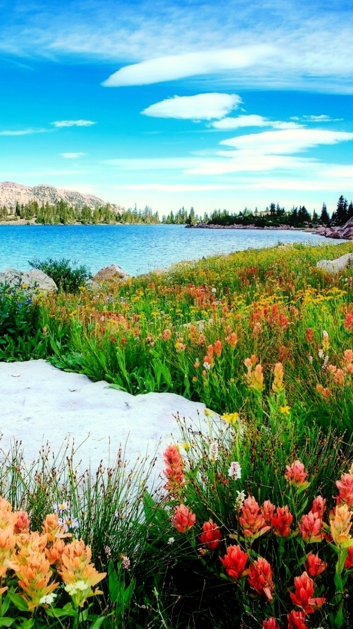 Download mobile wallpaper Landscape, Nature, Lakes, Mountain, Lake, Flower, Earth for free.
