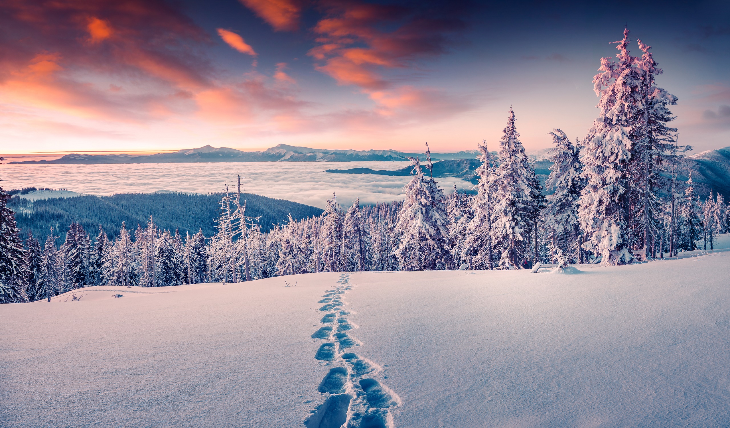 Download mobile wallpaper Landscape, Winter, Nature, Snow, Forest, Fog, Earth, Cloud for free.