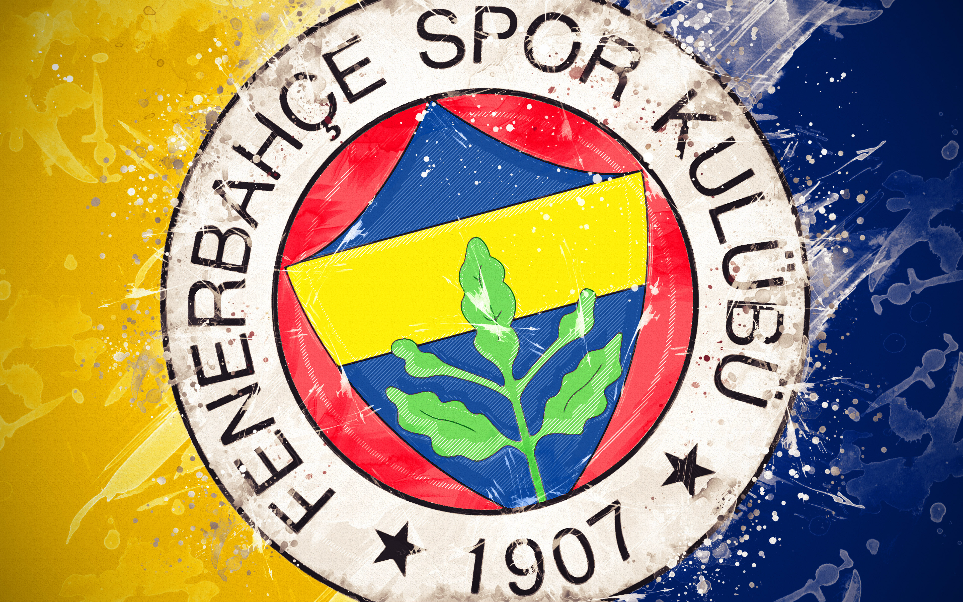 Baixar papéis de parede de desktop Fenerbahçe Spor Kulübü HD