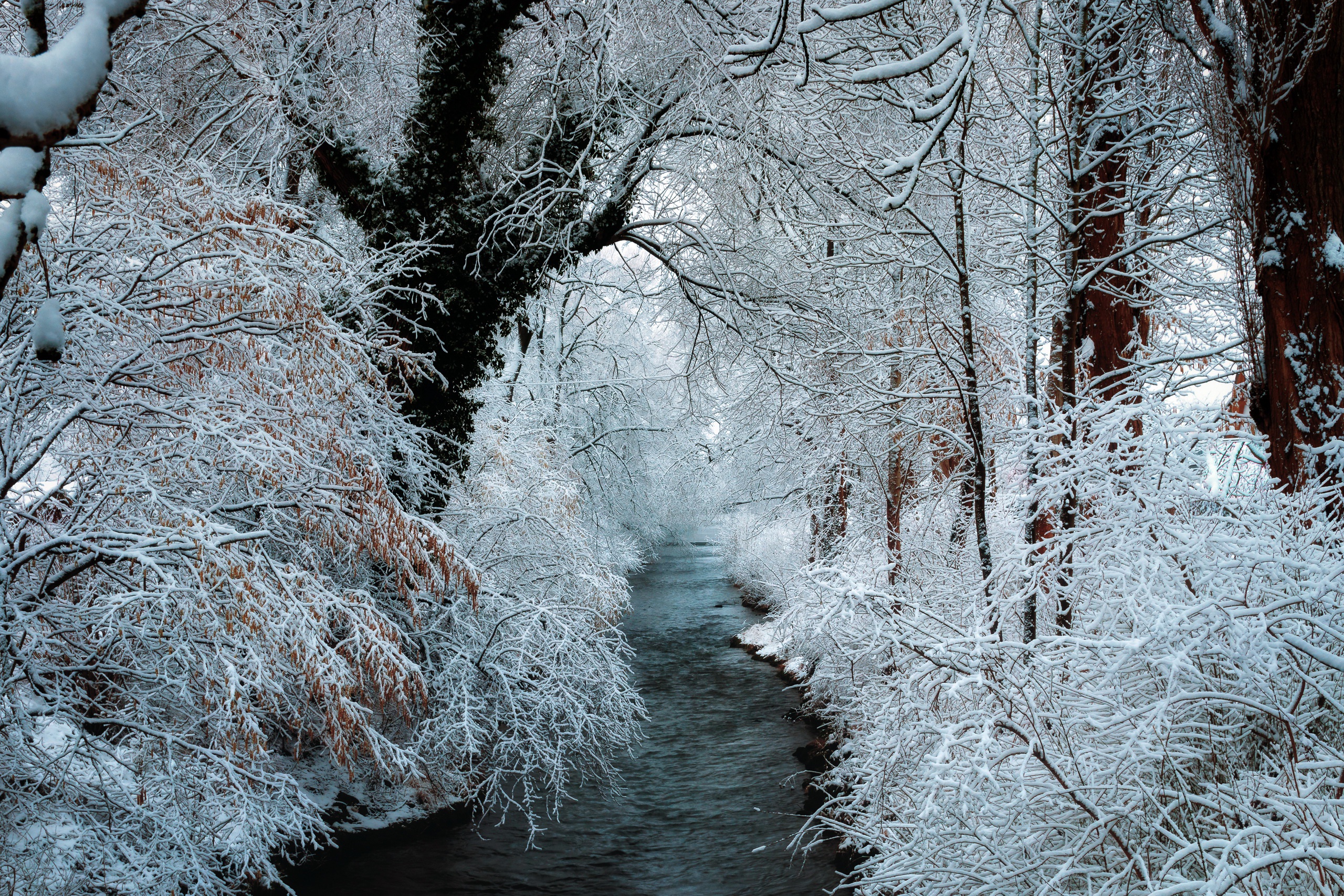 Free download wallpaper Winter, Nature, Snow, Tree, Earth, River on your PC desktop
