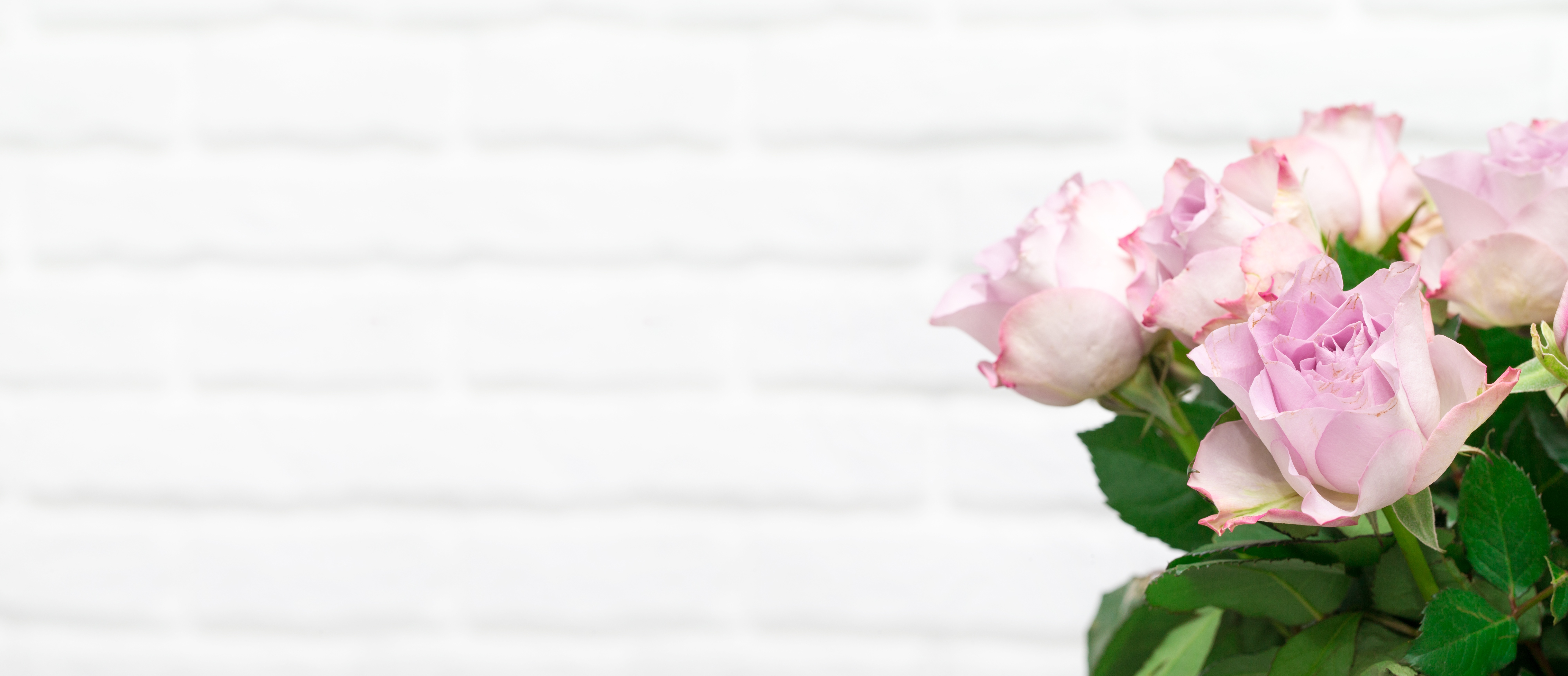 Laden Sie das Blume, Rose, Strauß, Menschengemacht-Bild kostenlos auf Ihren PC-Desktop herunter