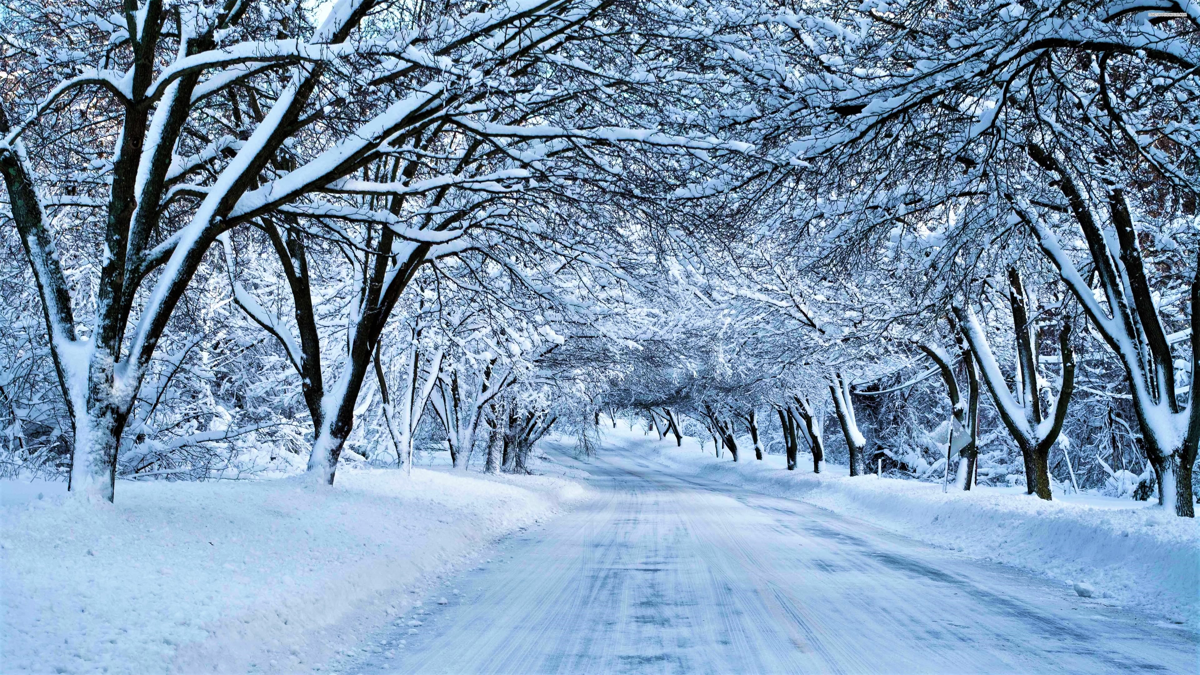 876057 descargar imagen hecho por el hombre, carretera, pabellón, nieve, árbol, invierno: fondos de pantalla y protectores de pantalla gratis