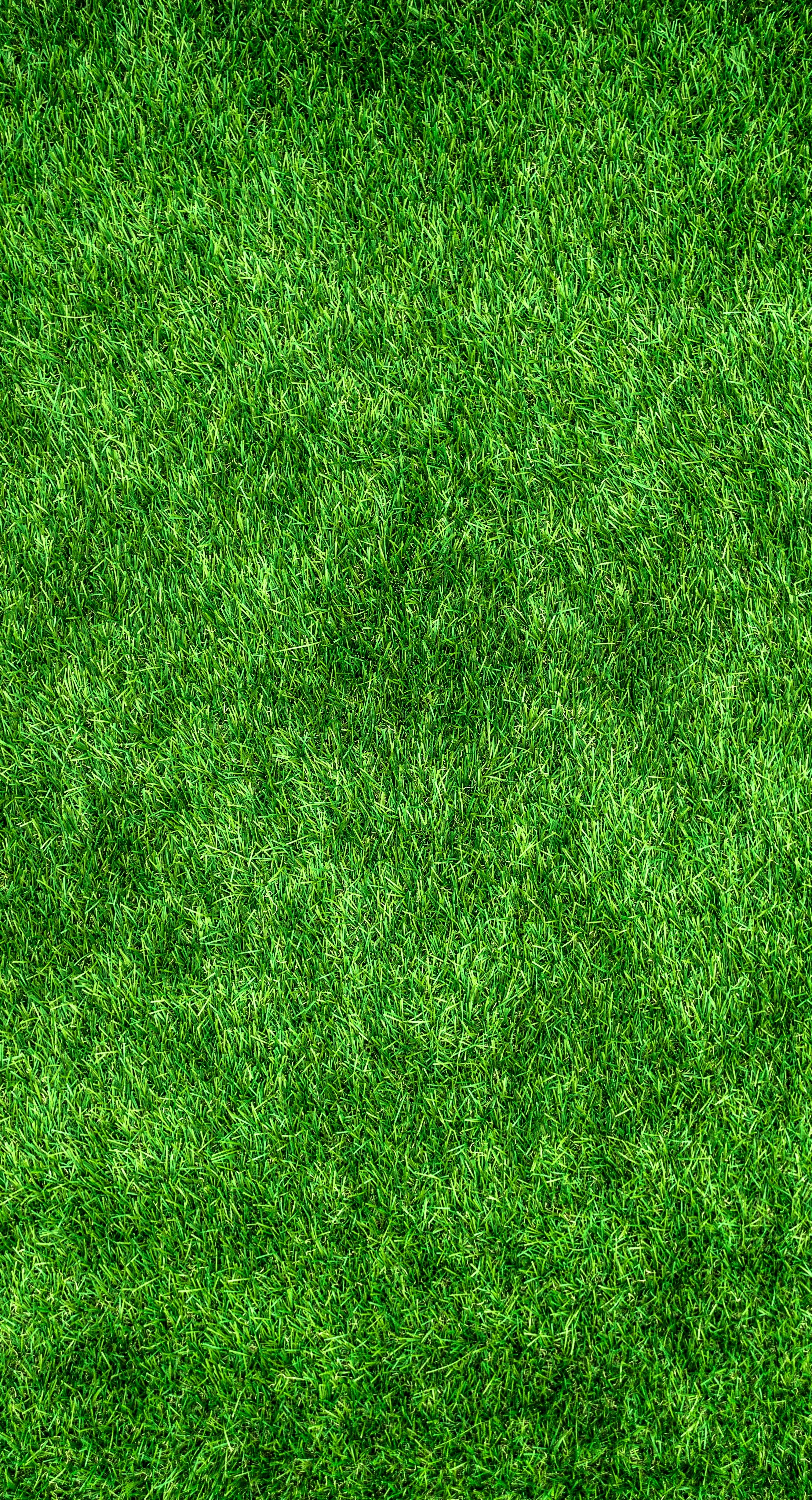 grass, green, texture, textures, surface, thick, lawn cellphone