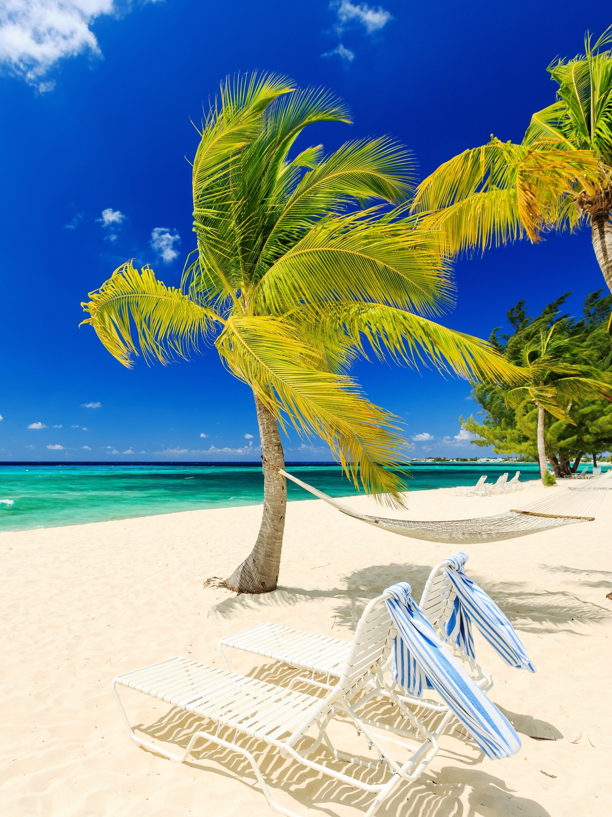 Скачать картинку Пляж, Пальмы, Стул, Пальма, Тропический, Фотографии в телефон бесплатно.