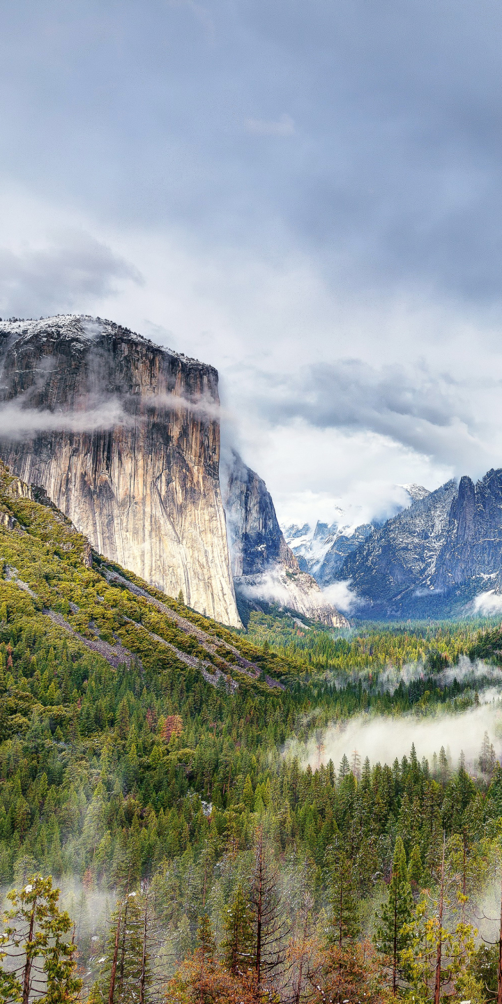 Téléchargez des papiers peints mobile Paysage, Montagne, Forêt, Falaise, Etats Unis, Parc National, Parc National De Yosemite, La Nature, Terre/nature gratuitement.