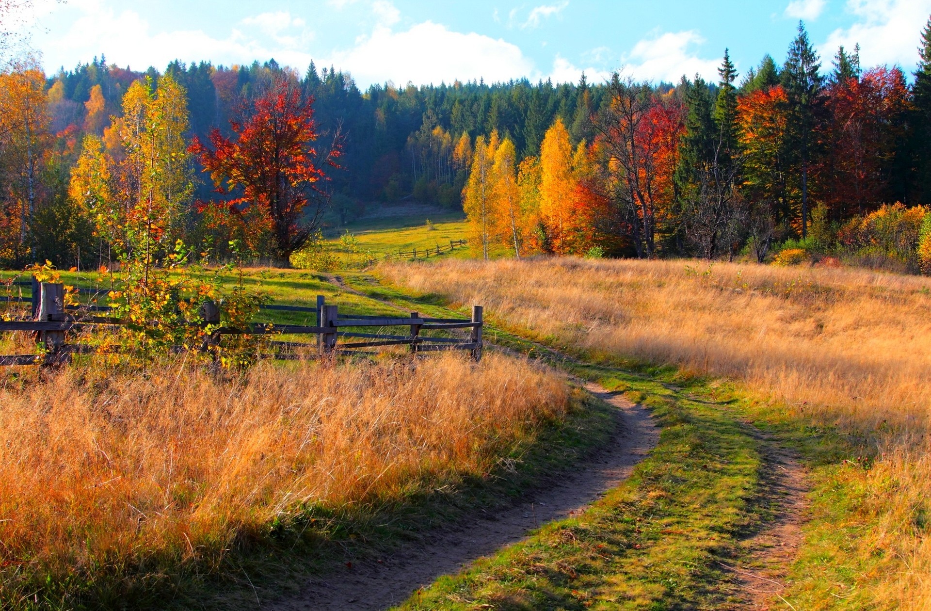 Скачать картинку Осень, Дорога, Лес, Земля/природа в телефон бесплатно.