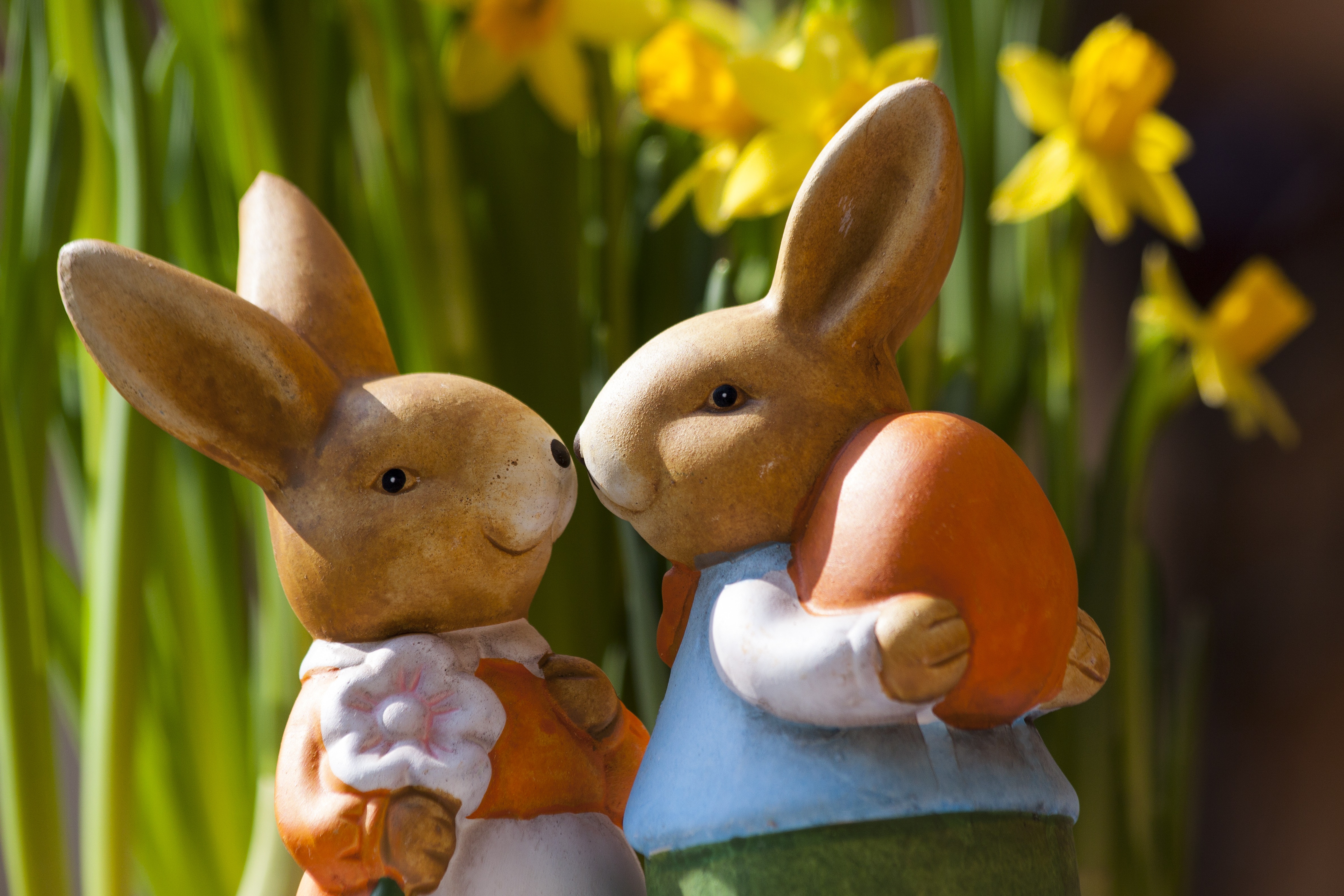 Descarga gratis la imagen Pascua, Día Festivo, Conejo en el escritorio de tu PC