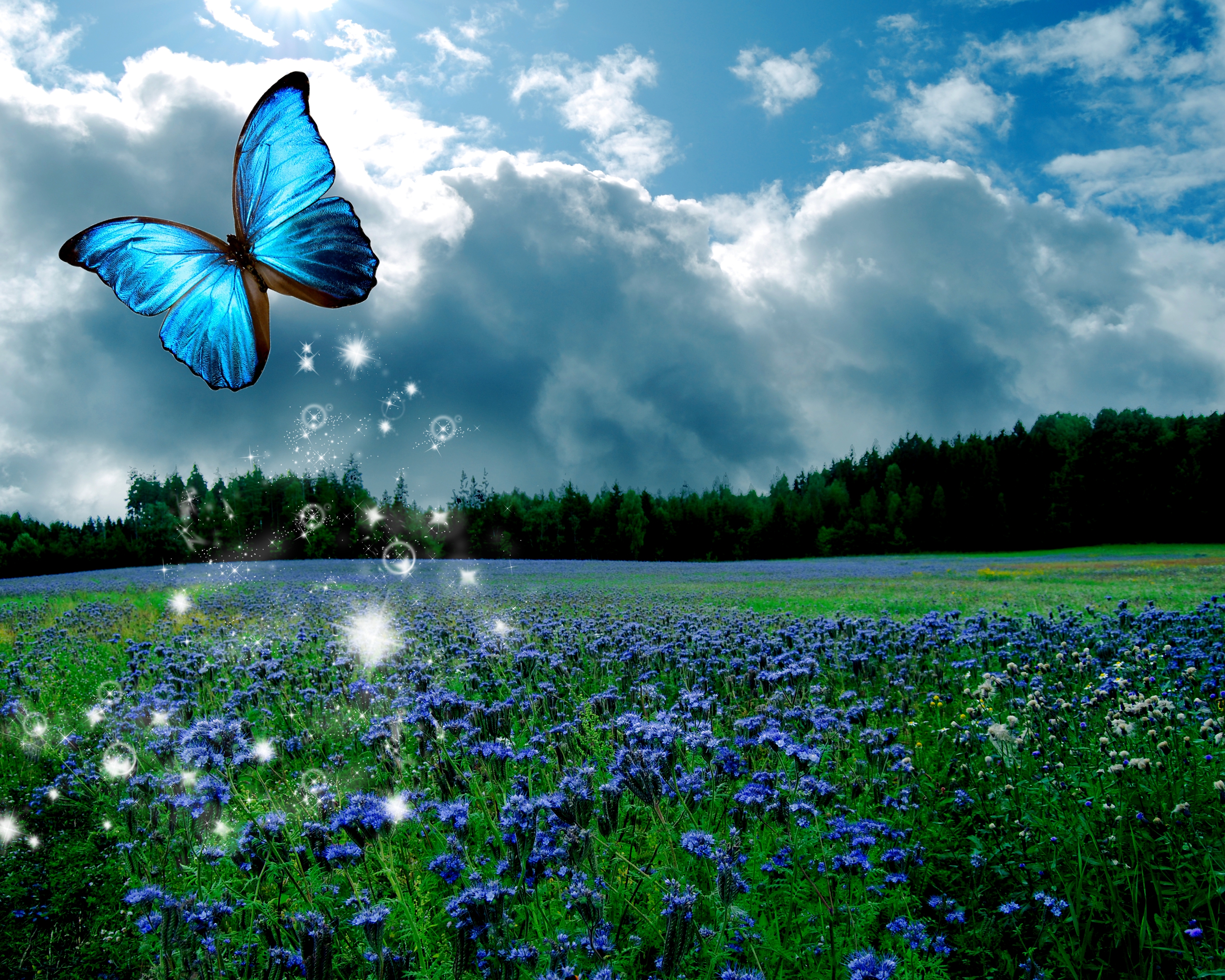 Скачати мобільні шпалери Квітка, Синій, Поле, Метелик, Художній, Синя Квітка безкоштовно.