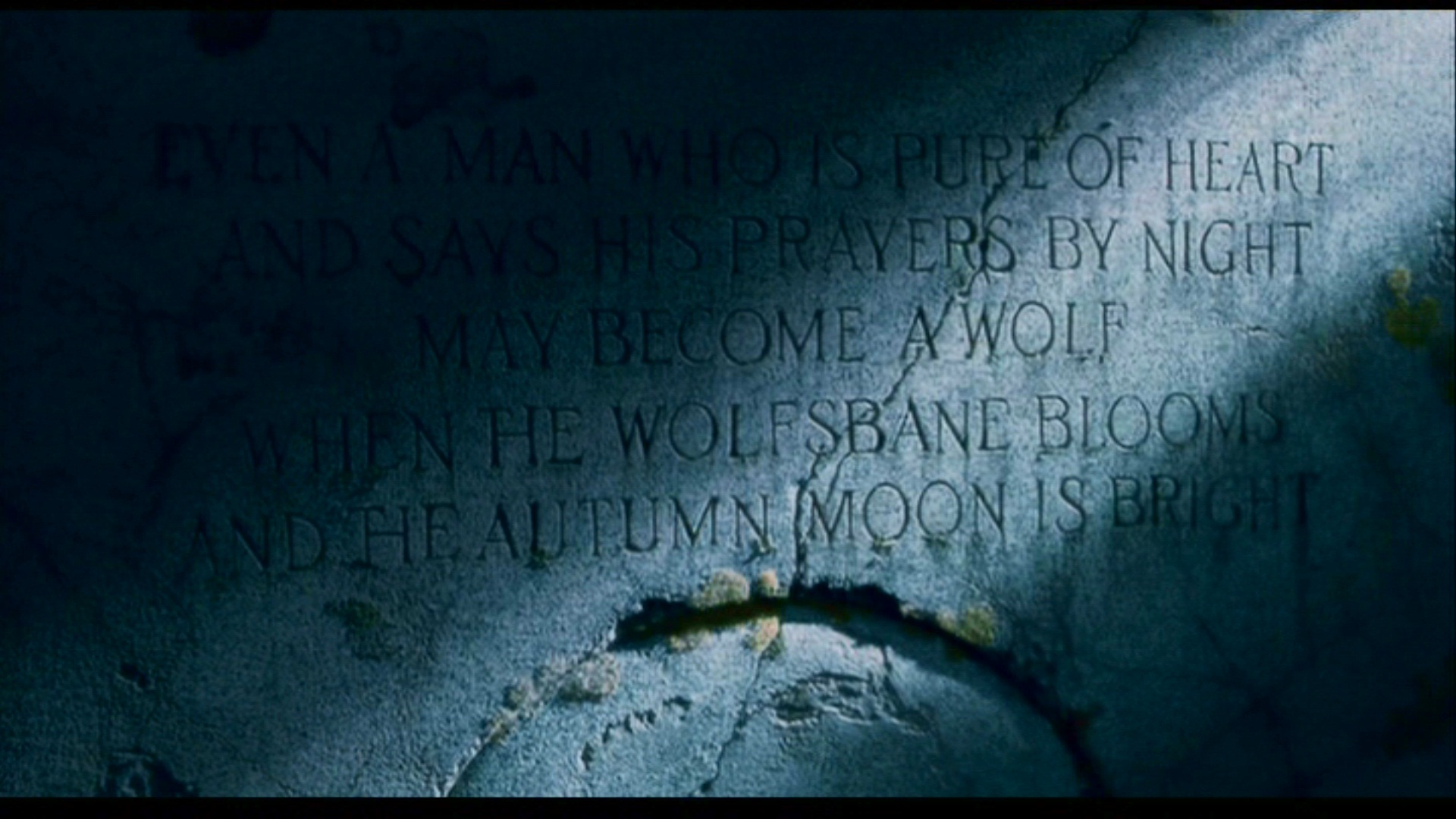 Die besten Der Wolfsmann (2010)-Hintergründe für den Telefonbildschirm