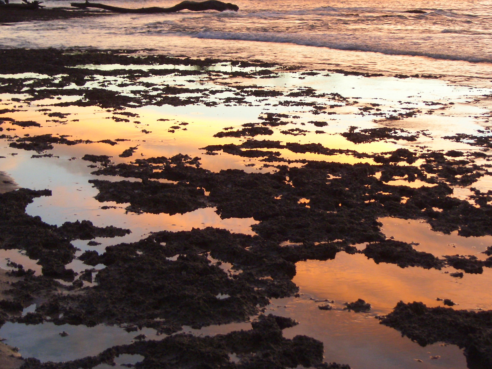 Descarga gratuita de fondo de pantalla para móvil de Costa, Tierra/naturaleza.