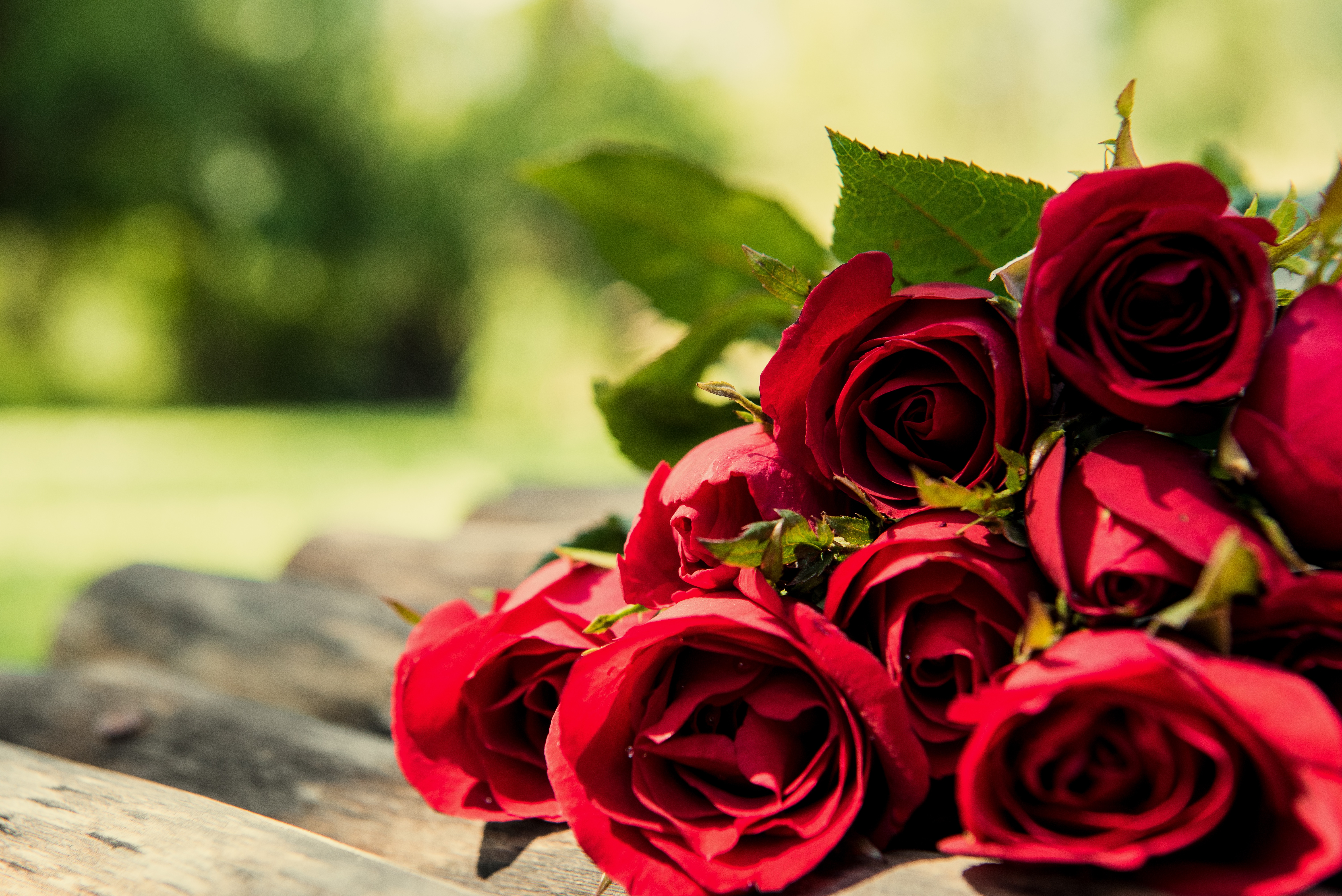 Скачать обои бесплатно Цветок, Роза, Красная Роза, Красный Цветок, Сделано Человеком картинка на рабочий стол ПК