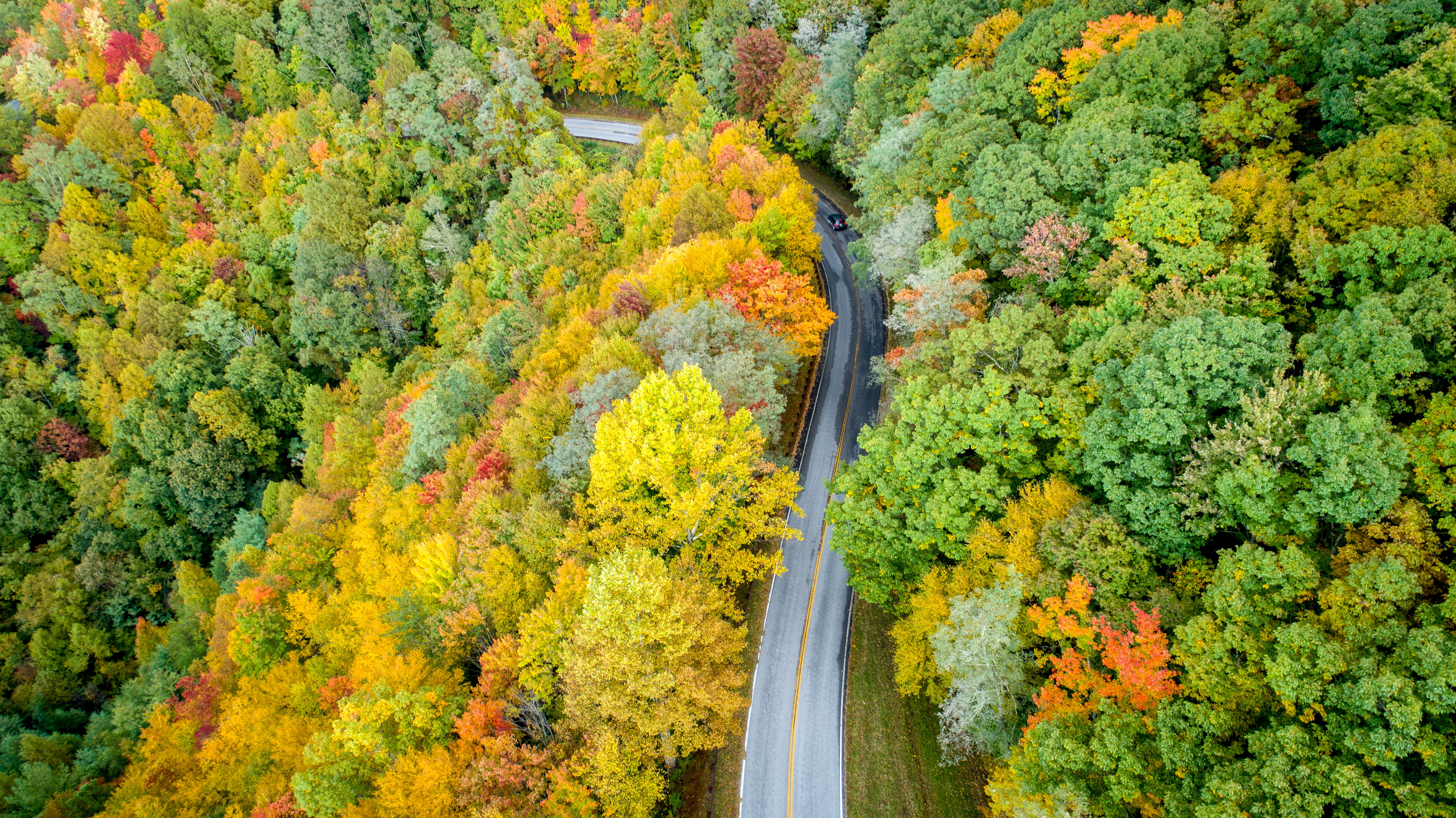 Free download wallpaper Road, Forest, Photography, Aerial on your PC desktop