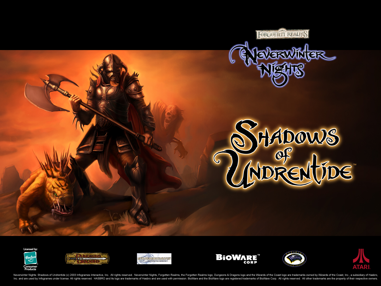 neverwinter nights, neverwinter nights: shadows of undrentide, video game, warrior