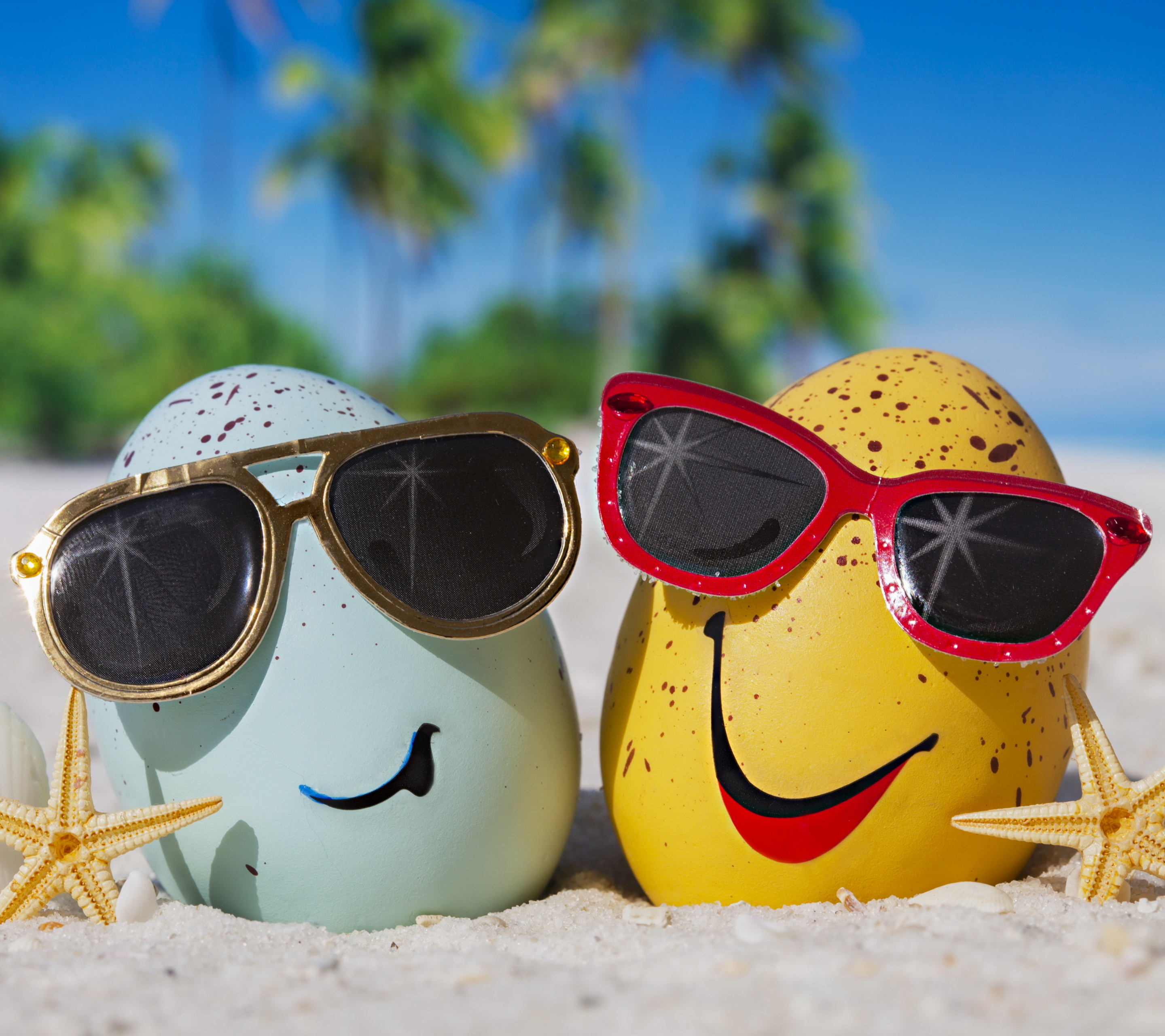Free download wallpaper Beach, Summer, Artistic, Egg, Sunglasses on your PC desktop