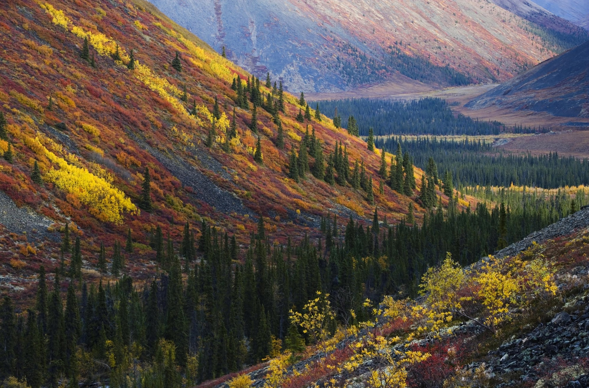 Скачать картинку Горы, Осень, Гора, Лес, Дерево, Ландшафт, Земля/природа в телефон бесплатно.