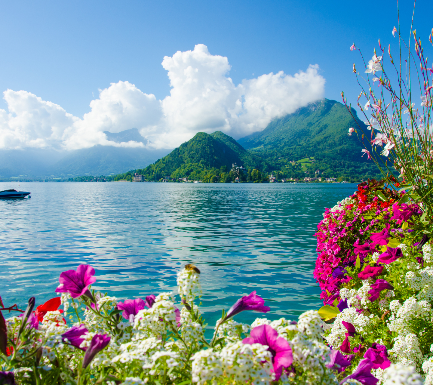 Free download wallpaper Lakes, Lake, Flower, Earth on your PC desktop