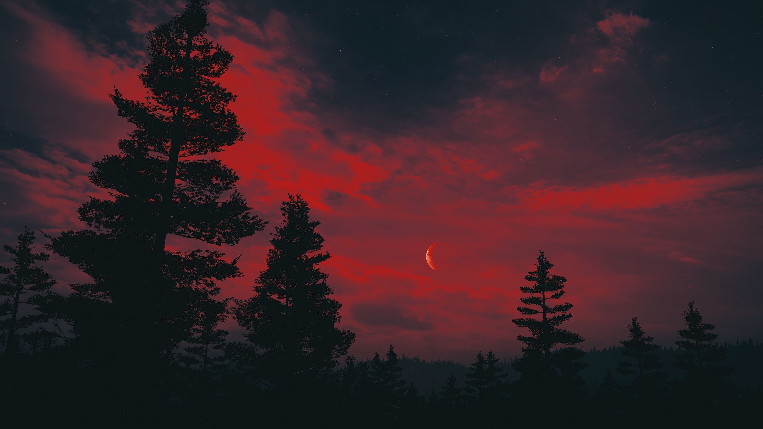 Download mobile wallpaper Sky, Night, Moon, Forest, Artistic for free.