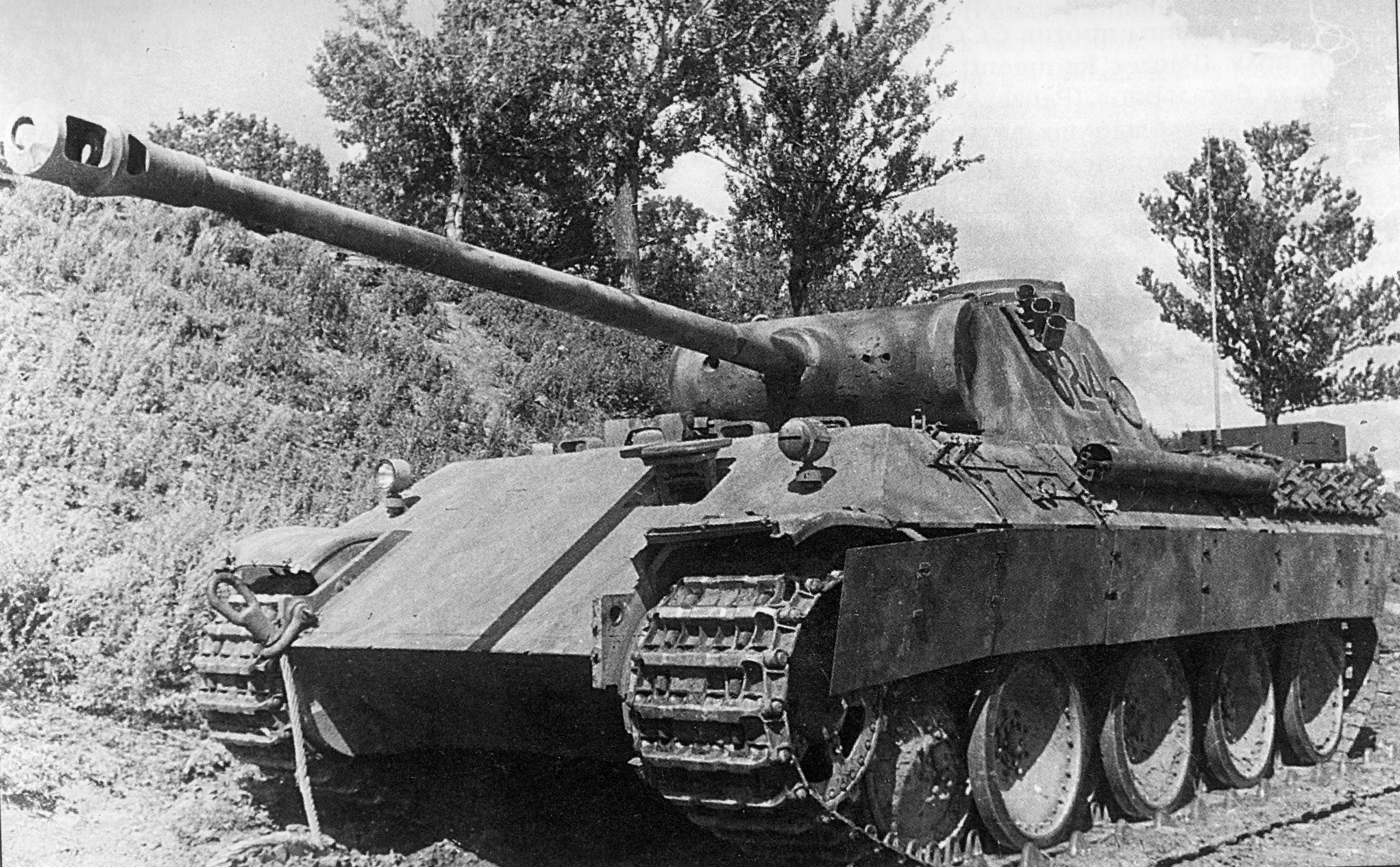 military, panther tank, tanks
