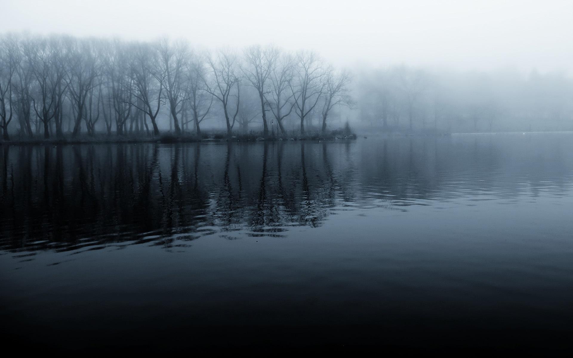 Descarga gratuita de fondo de pantalla para móvil de Niebla, Tierra/naturaleza.