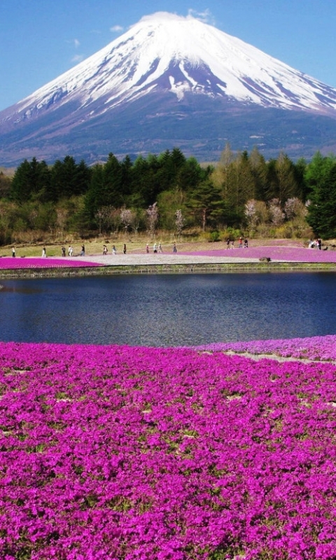 Download mobile wallpaper Mountain, Earth, Mount Fuji, Volcanoes for free.