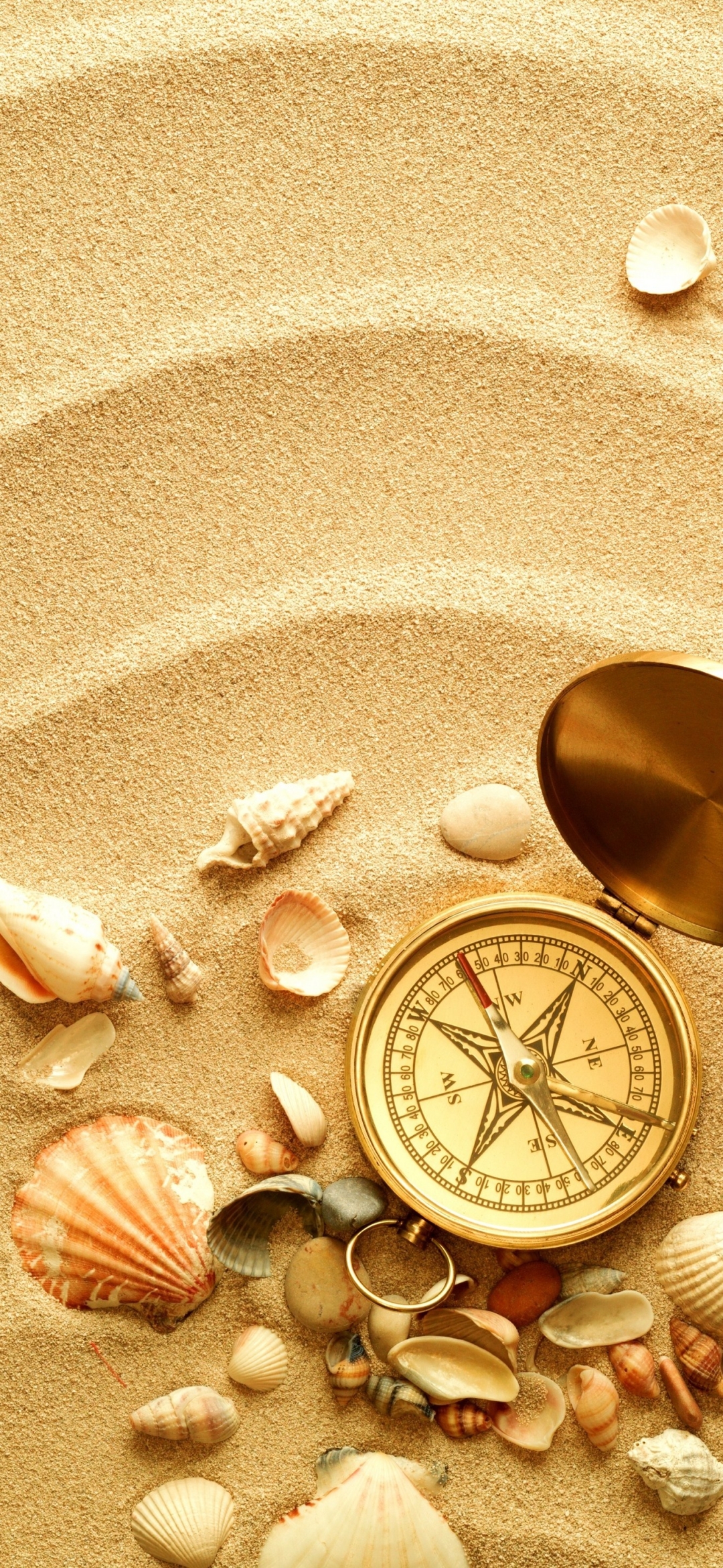 Download mobile wallpaper Still Life, Shell, Compass, Man Made for free.