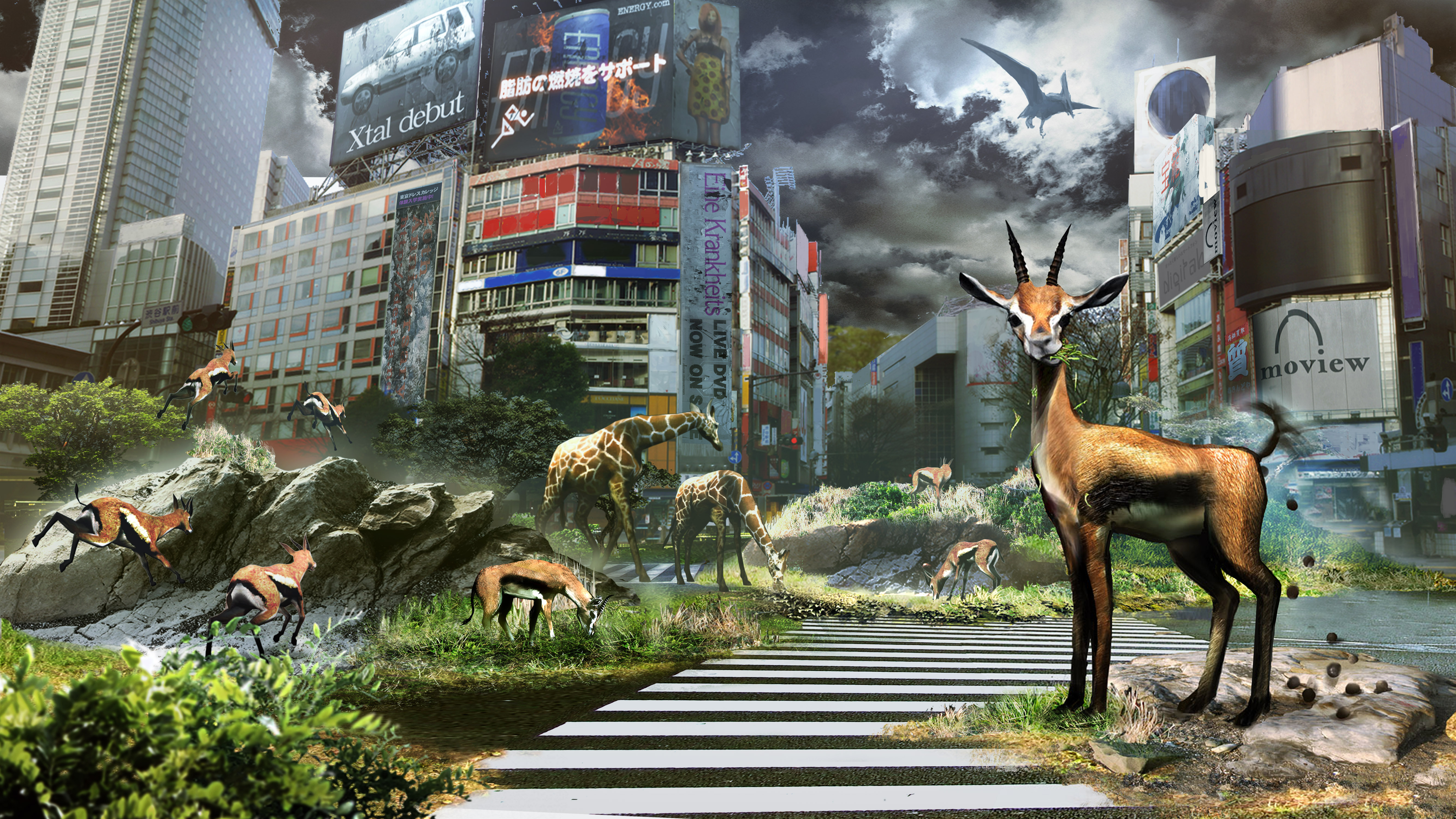 Laden Sie Tokyo Jungle HD-Desktop-Hintergründe herunter