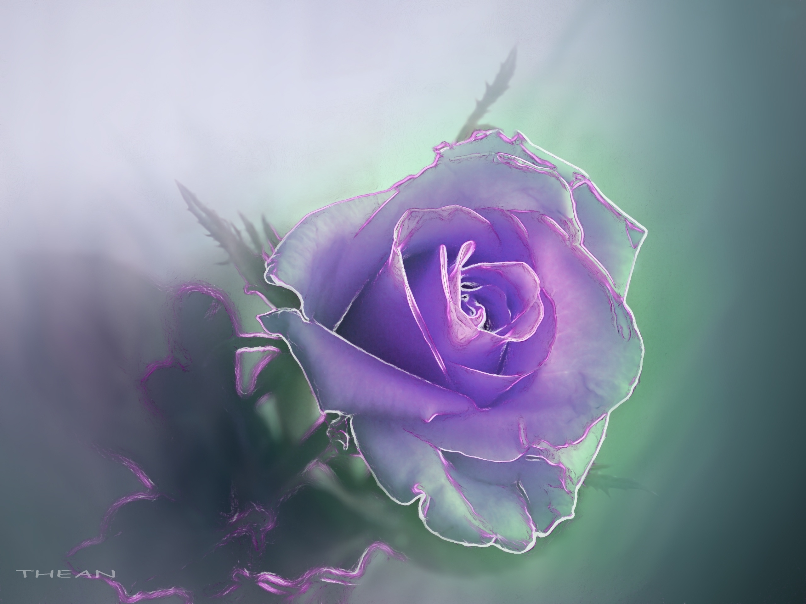 Download mobile wallpaper Flower, Rose, Artistic, Purple Flower for free.