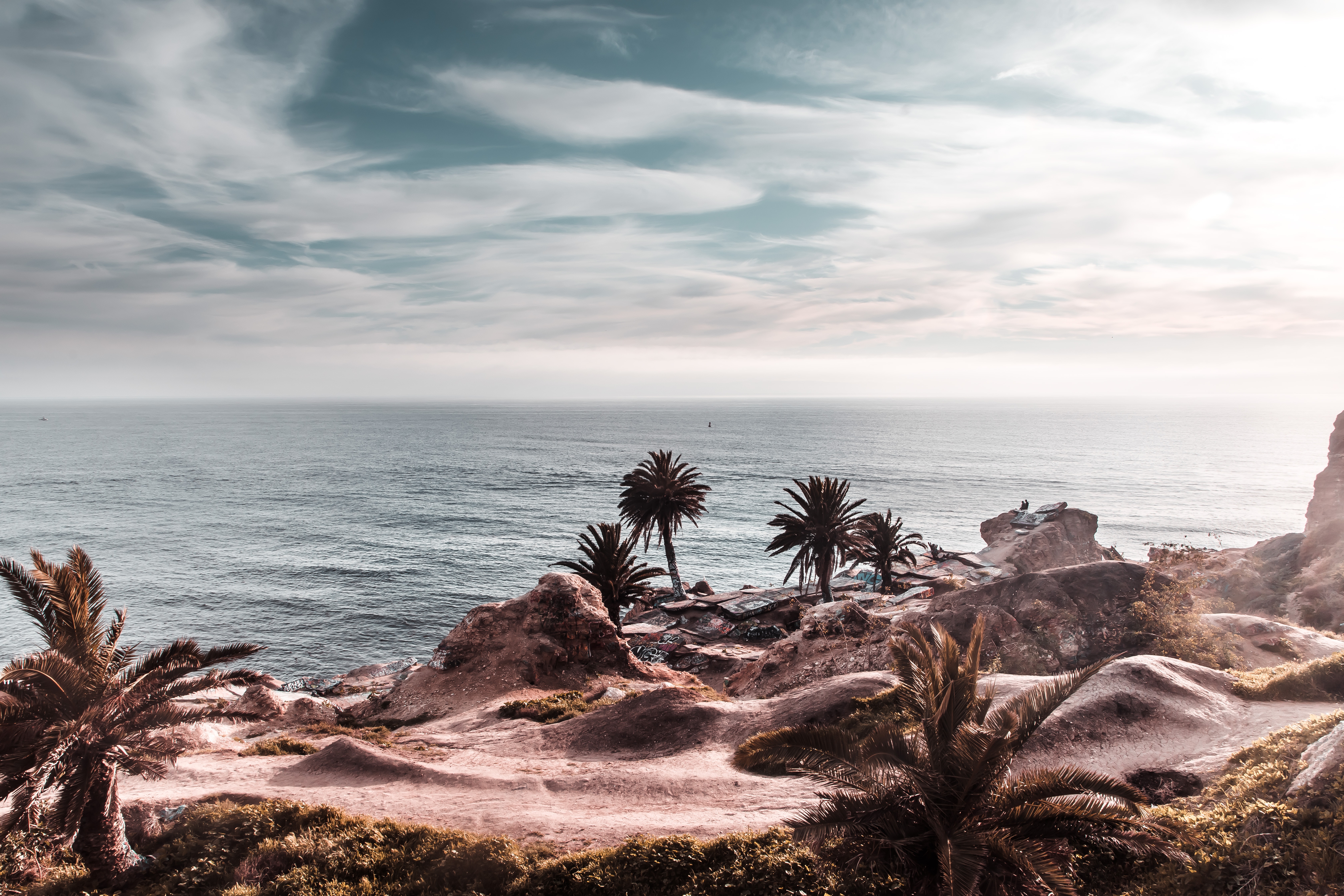 palms, cliff, nature, horizon, shore, bank, ocean, rocky