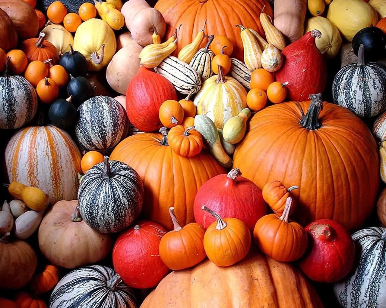 Free download wallpaper Food, Pumpkin on your PC desktop