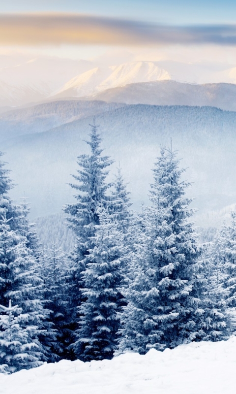 Descarga gratuita de fondo de pantalla para móvil de Invierno, Tierra/naturaleza.